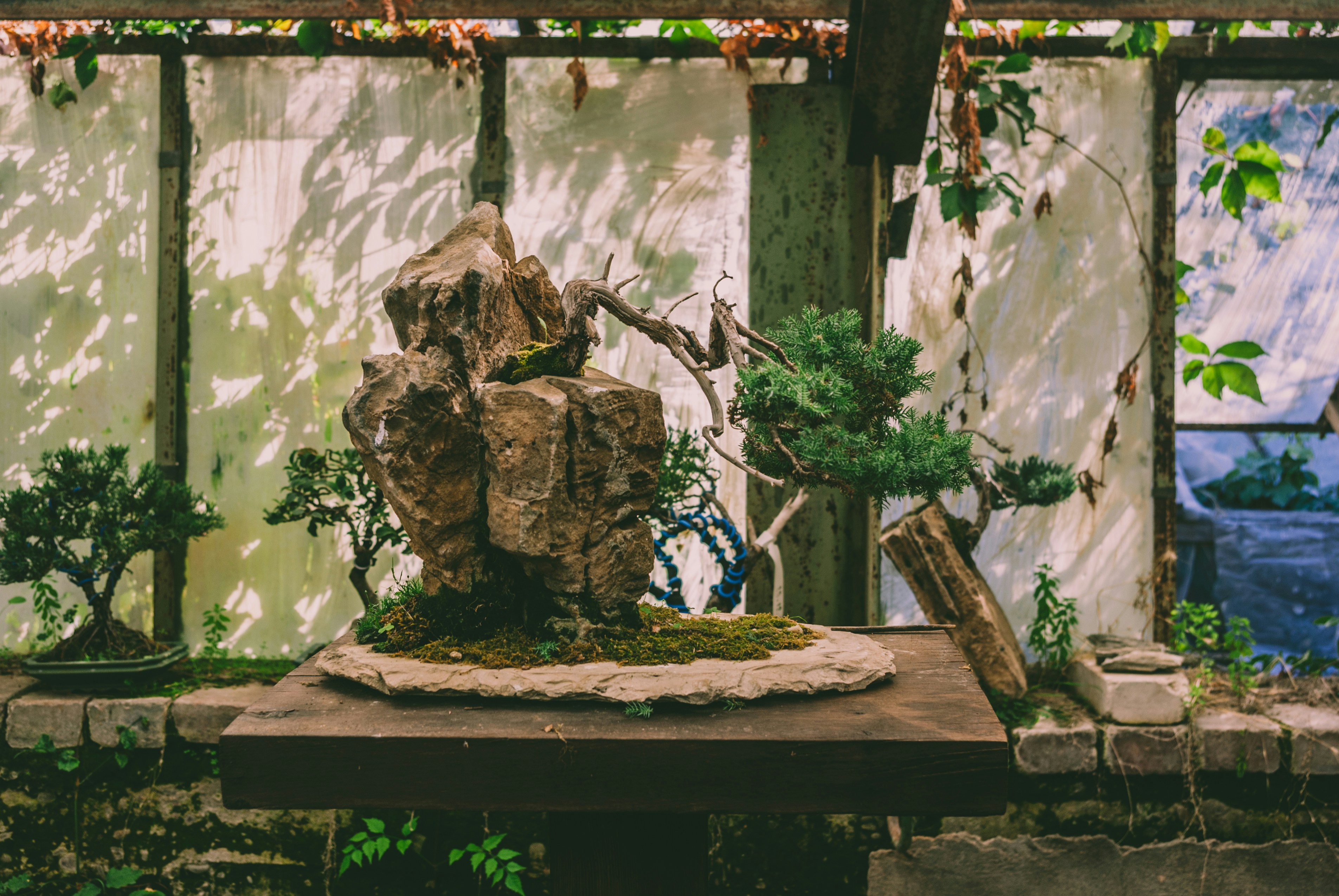 Photo by moonmoons_days