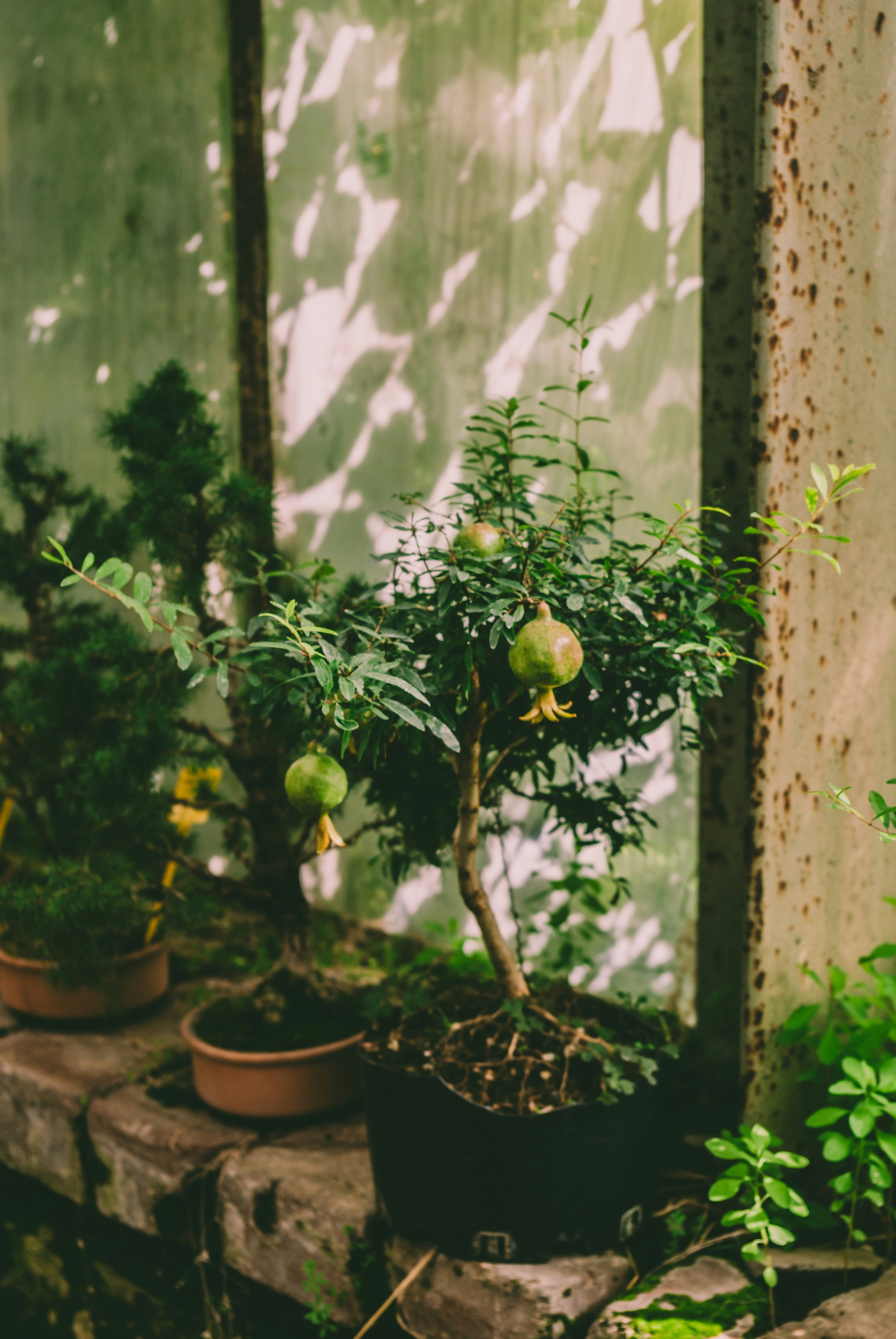 Photo by moonmoons_days