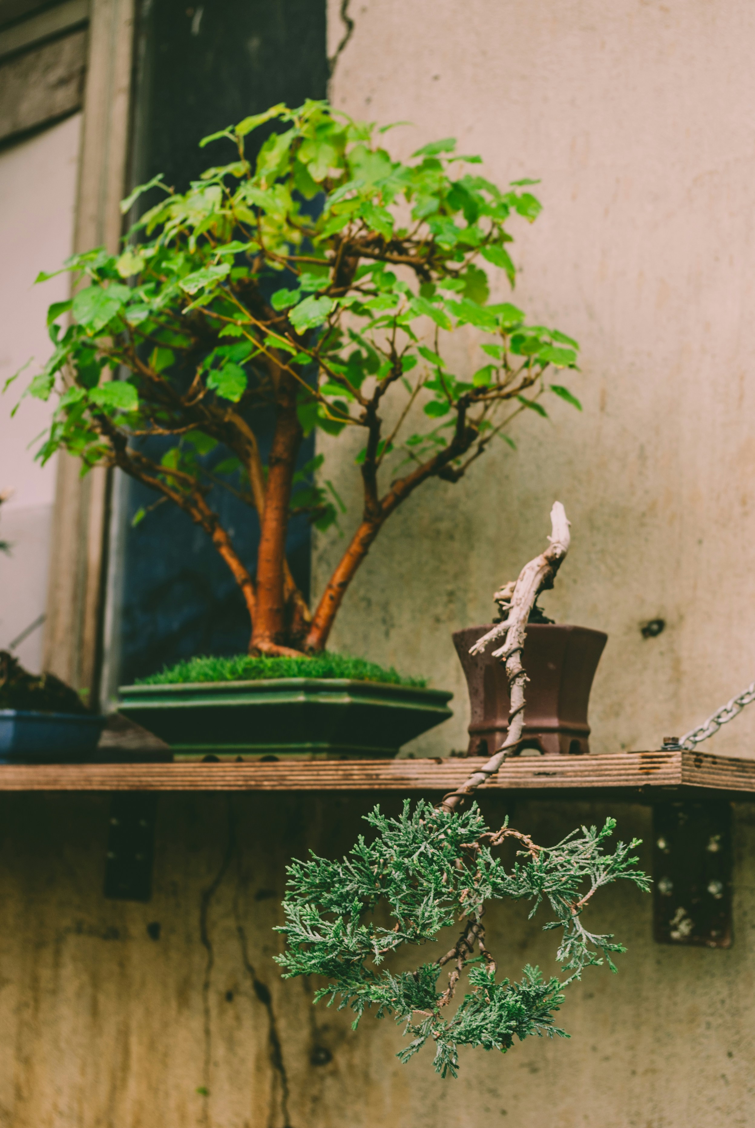 Photo by moonmoons_days