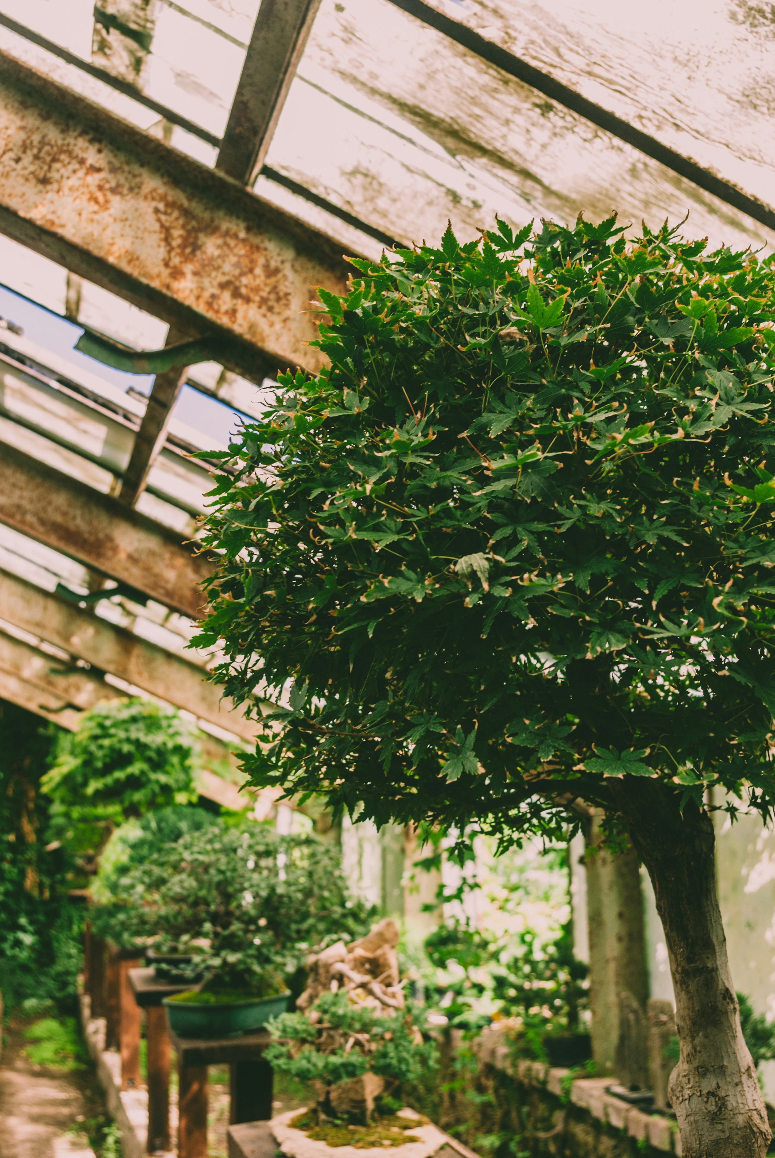 Photo by moonmoons_days