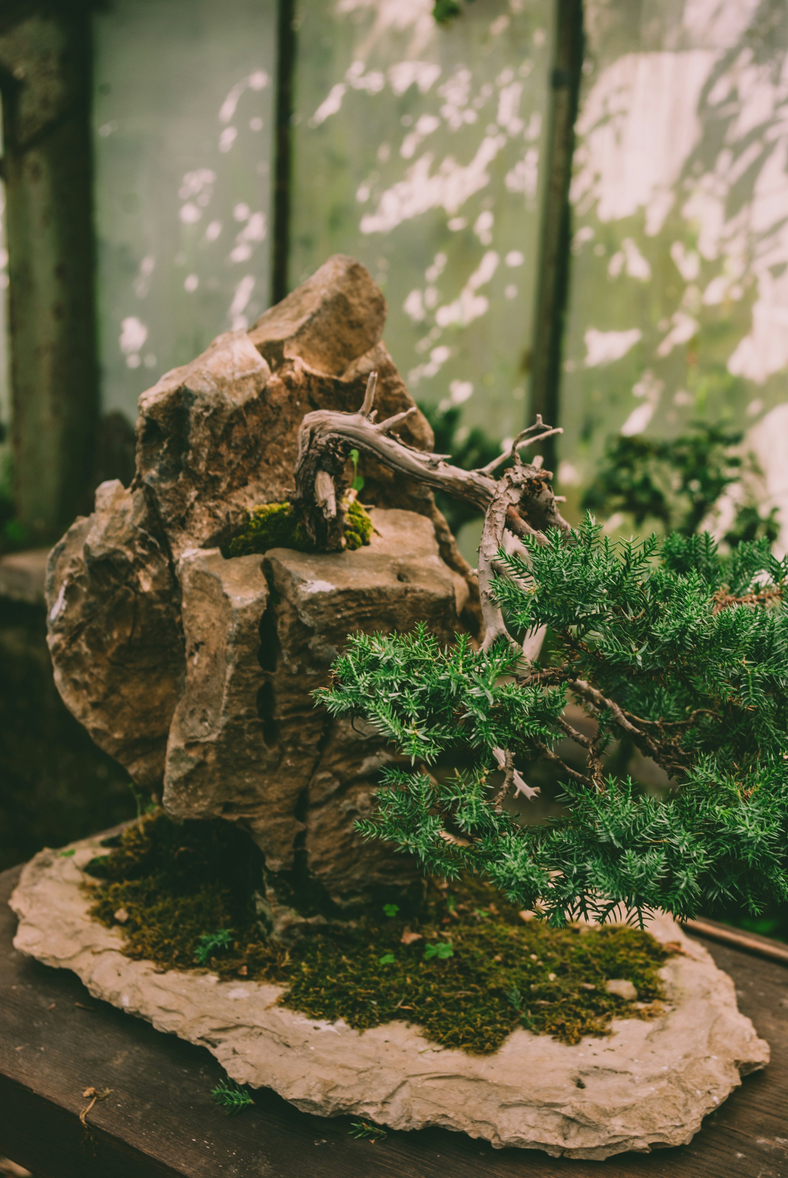 Photo by moonmoons_days