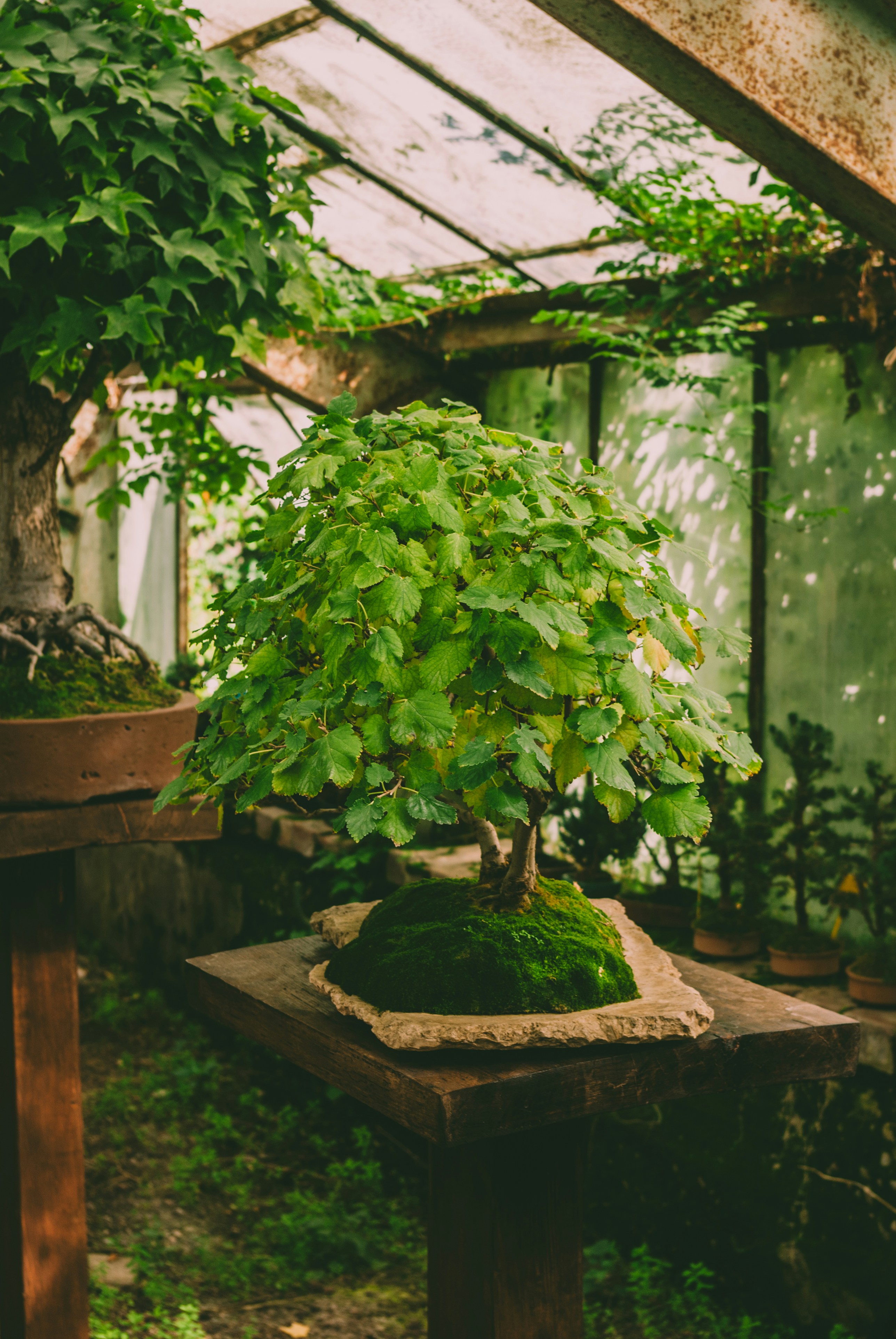 Photo by moonmoons_days