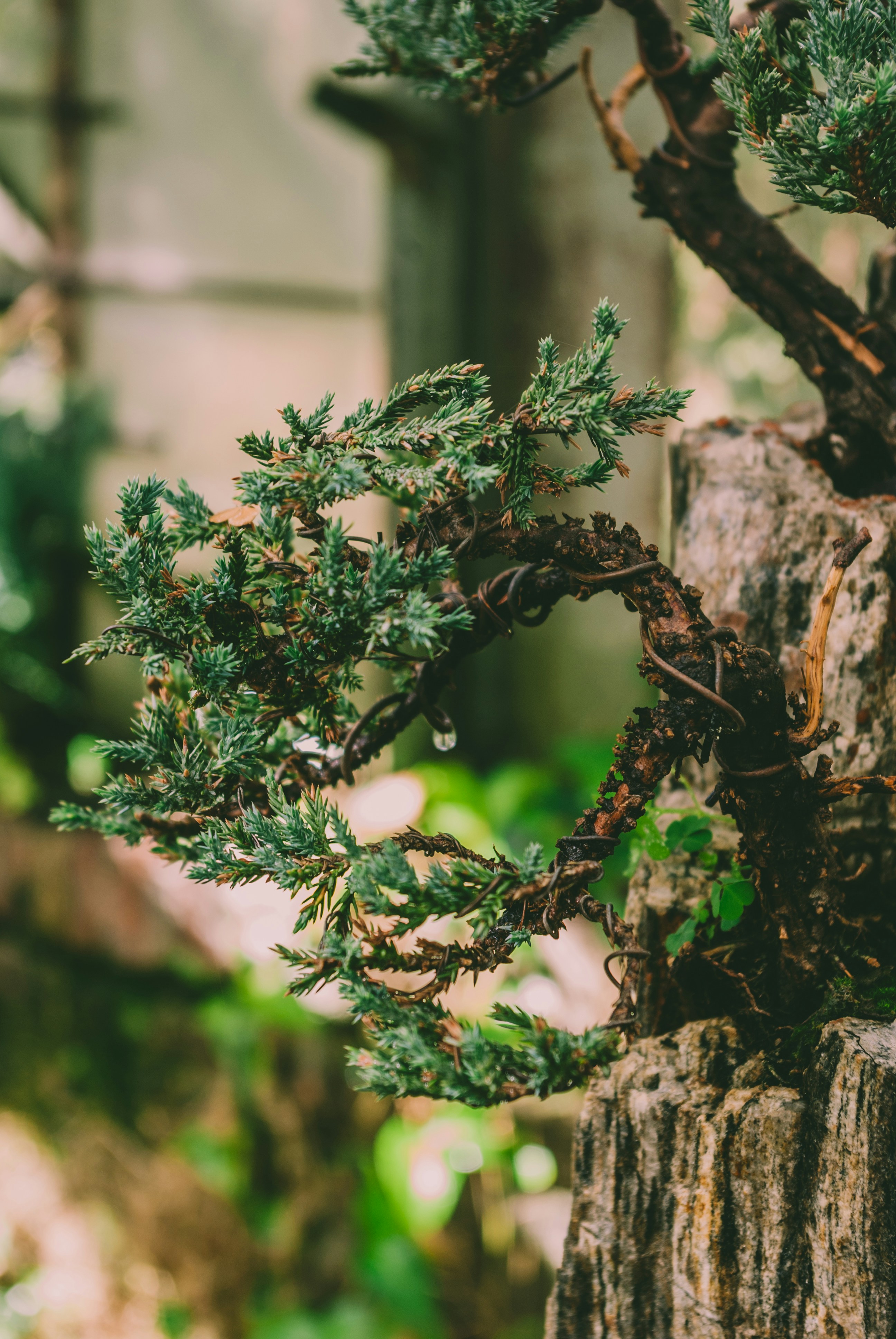 Photo by moonmoons_days