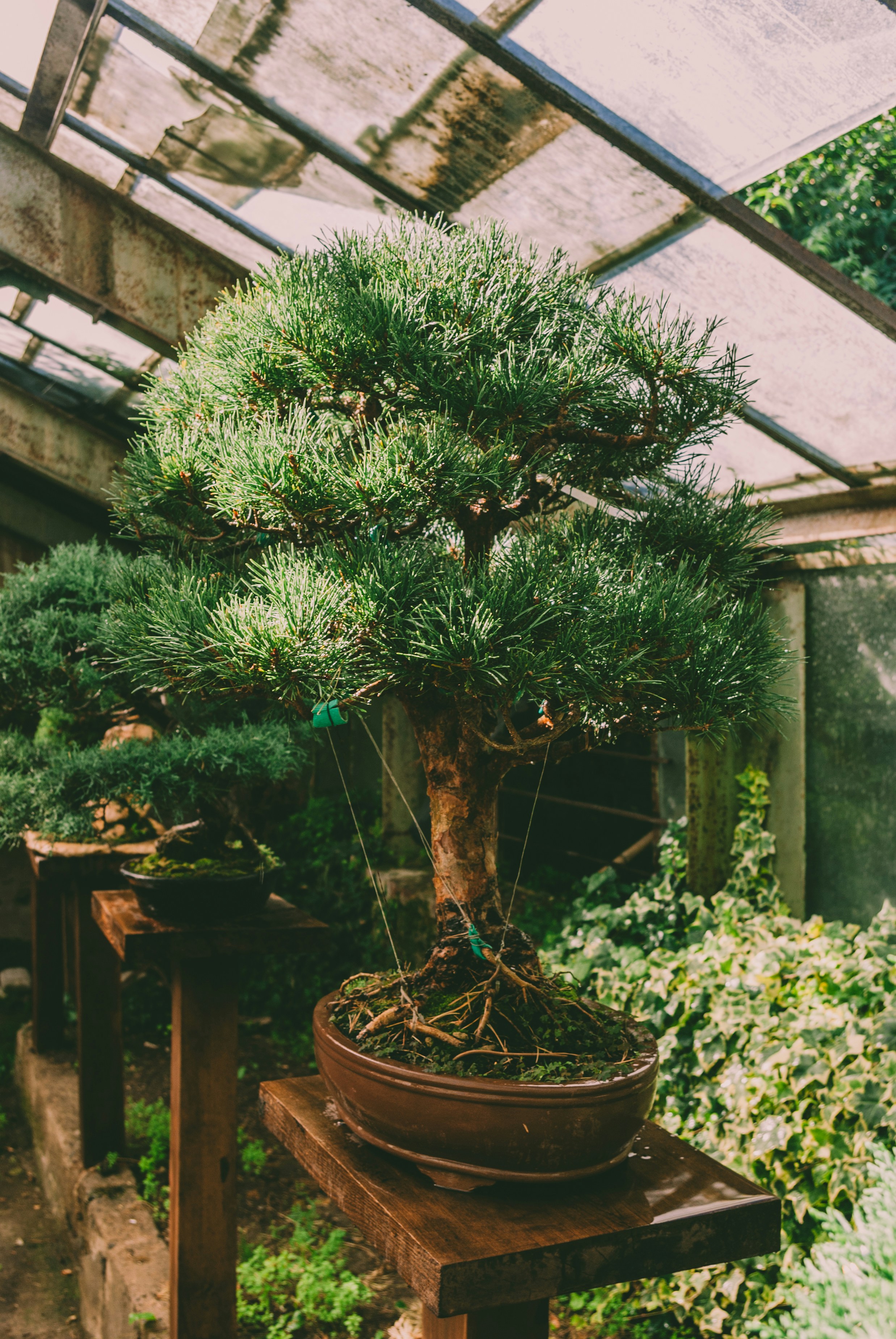 Photo by moonmoons_days