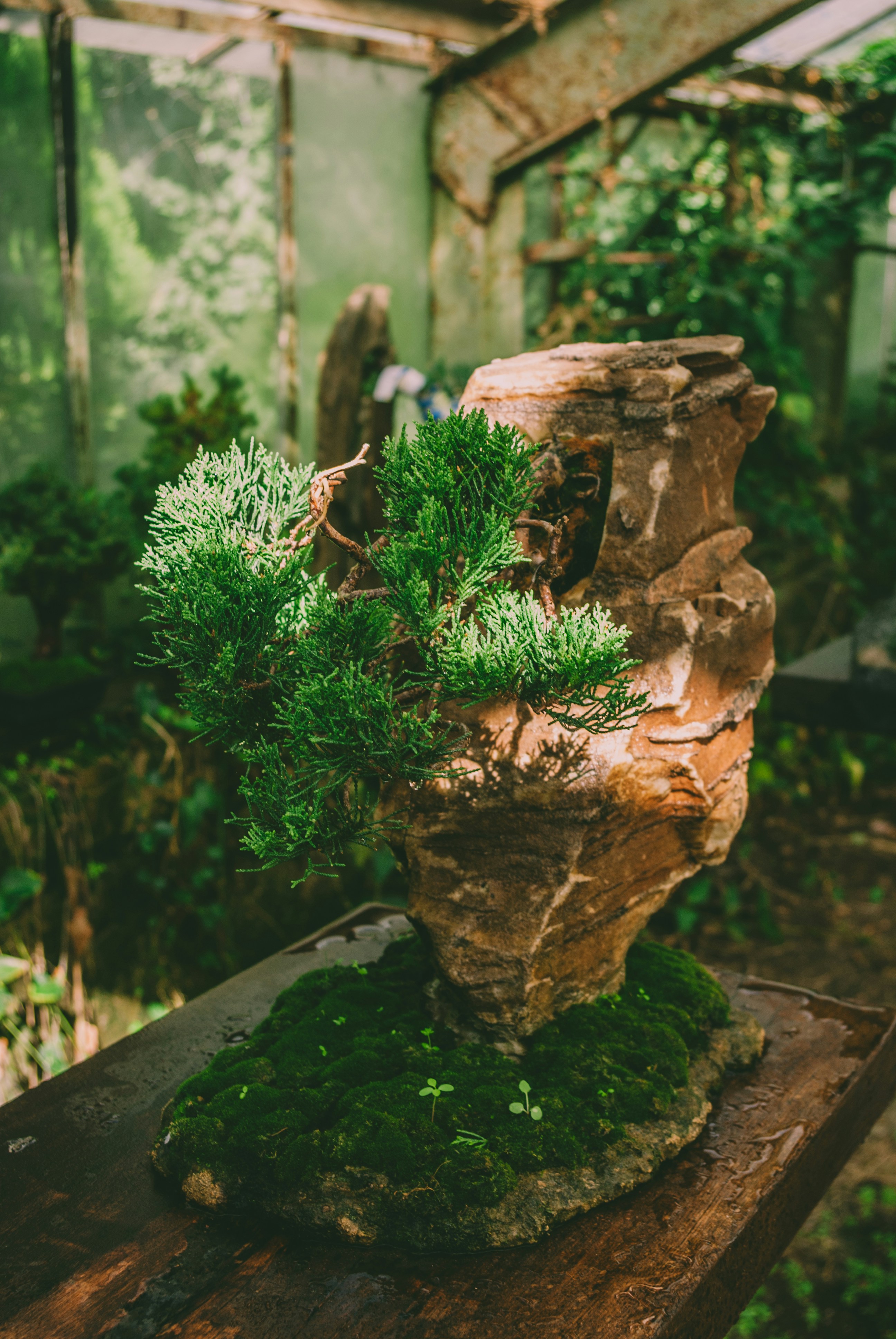 Photo by moonmoons_days