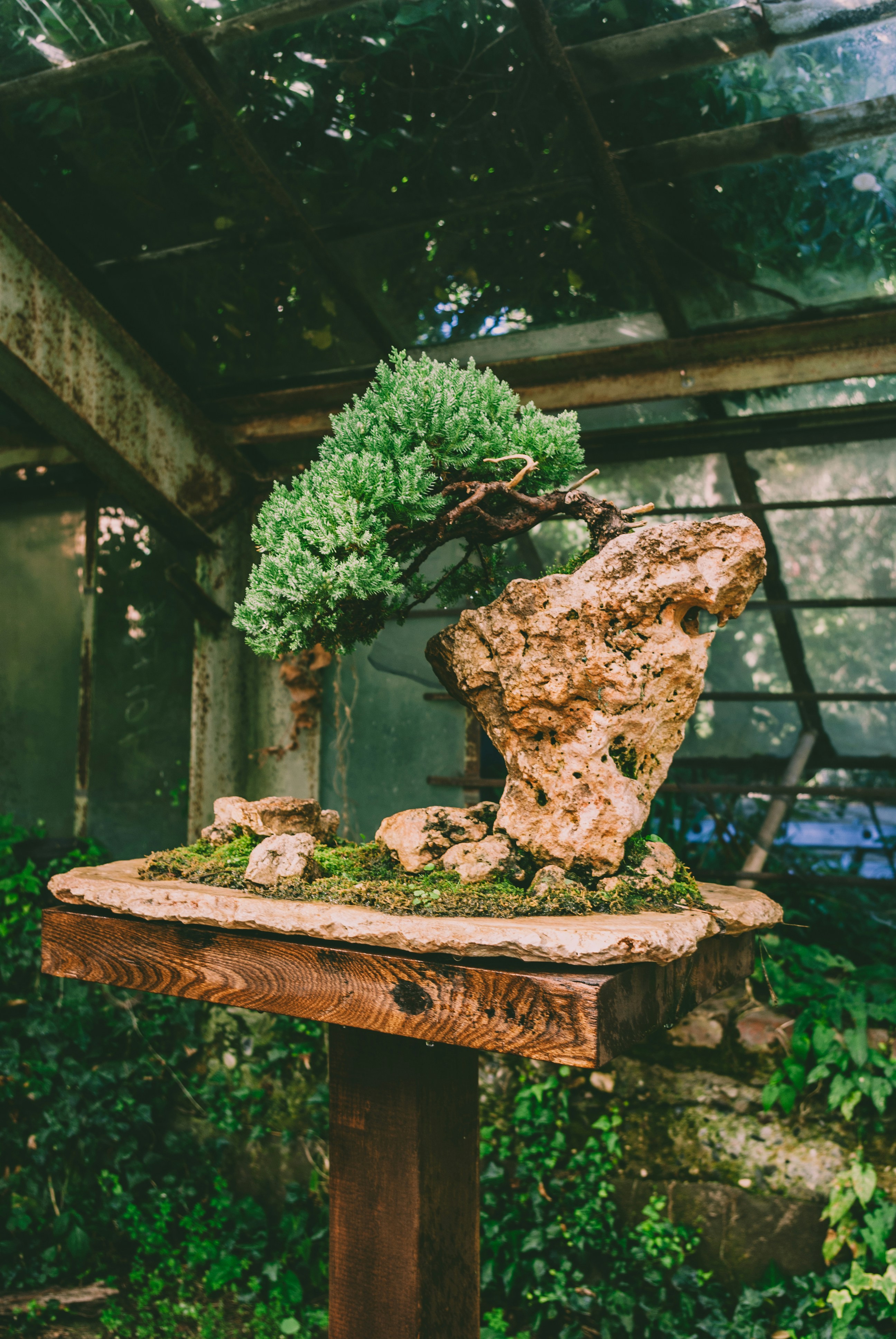 Bonsai Diorama Set