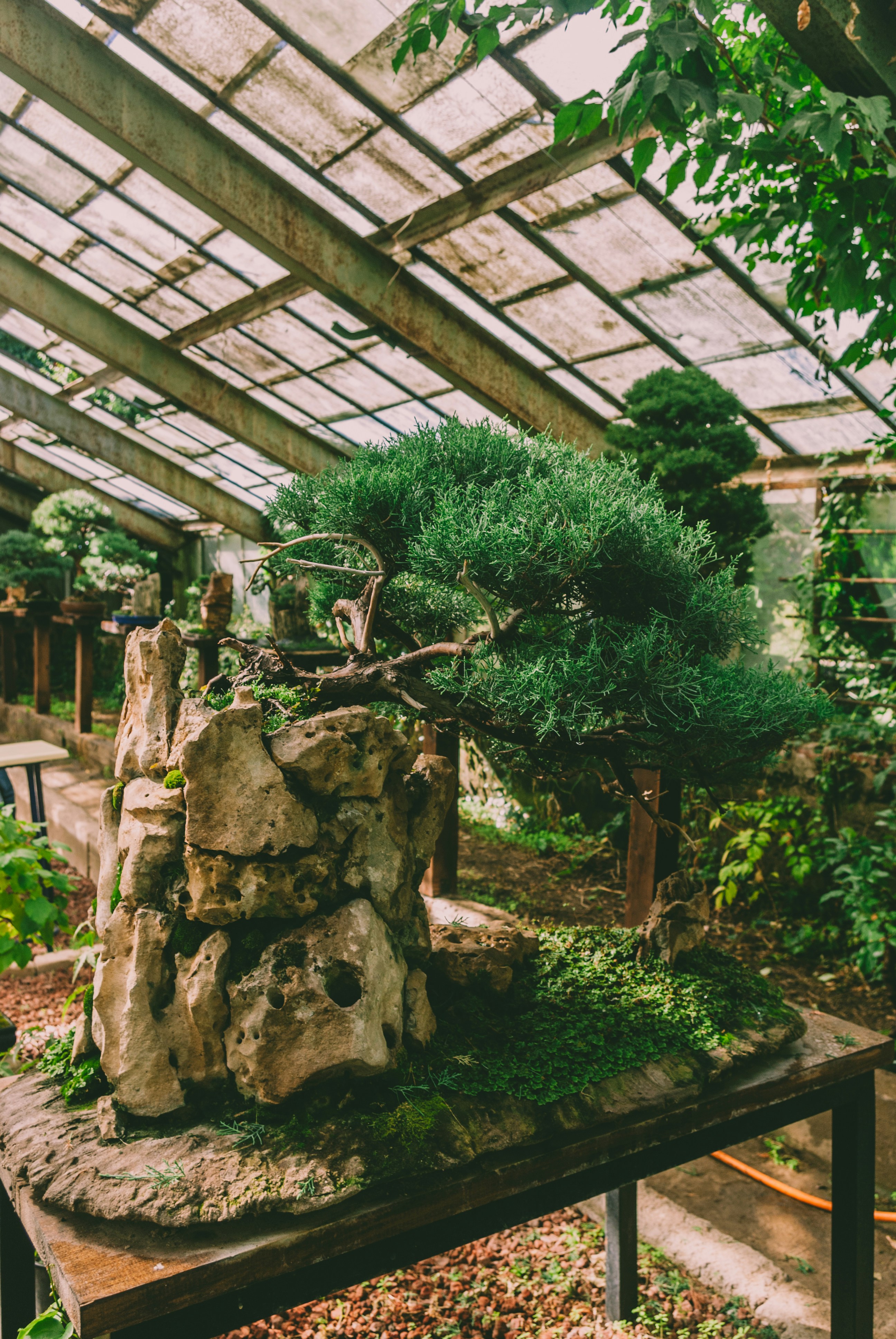 Photo by moonmoons_days