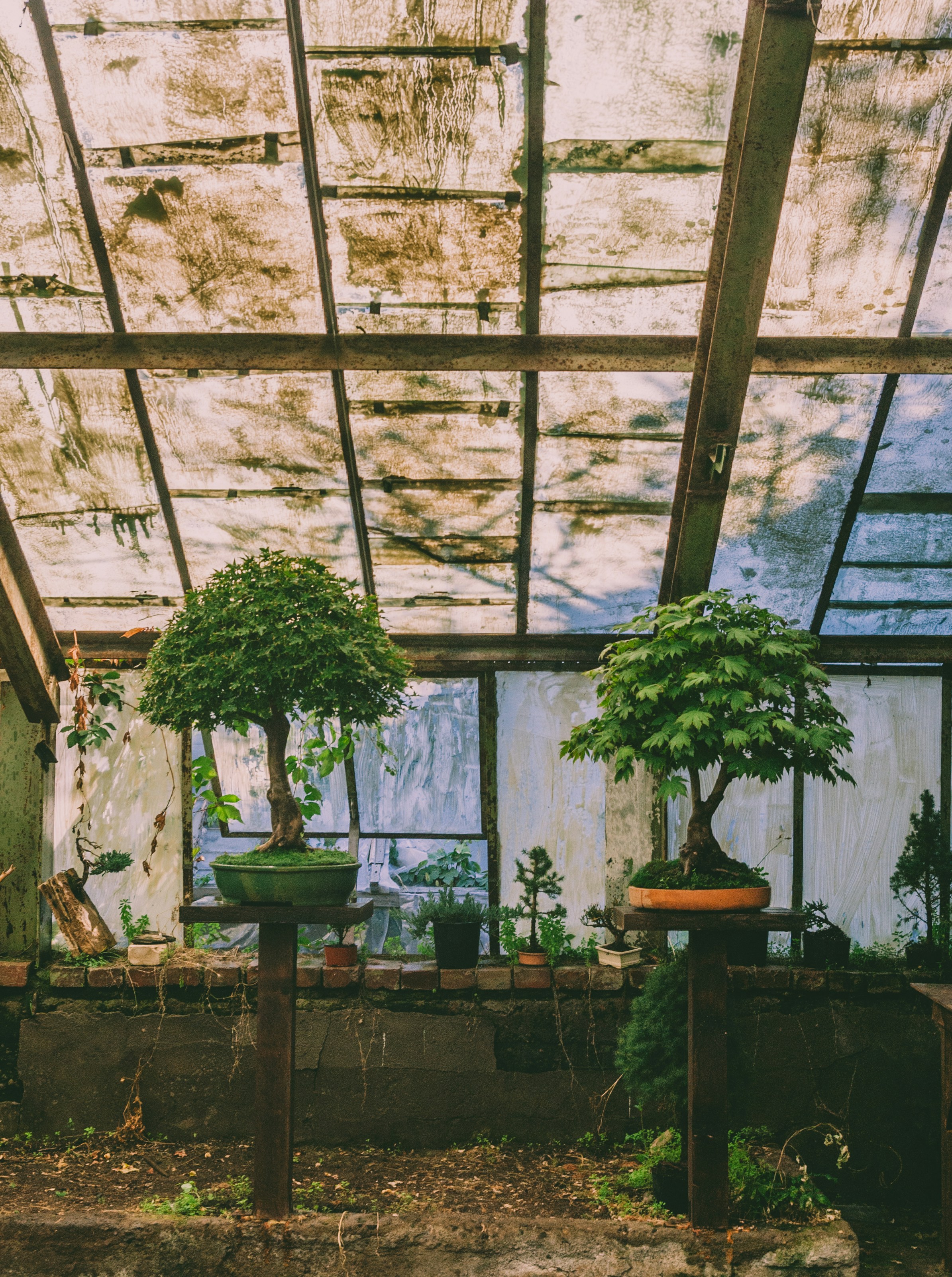 Photo by moonmoons_days