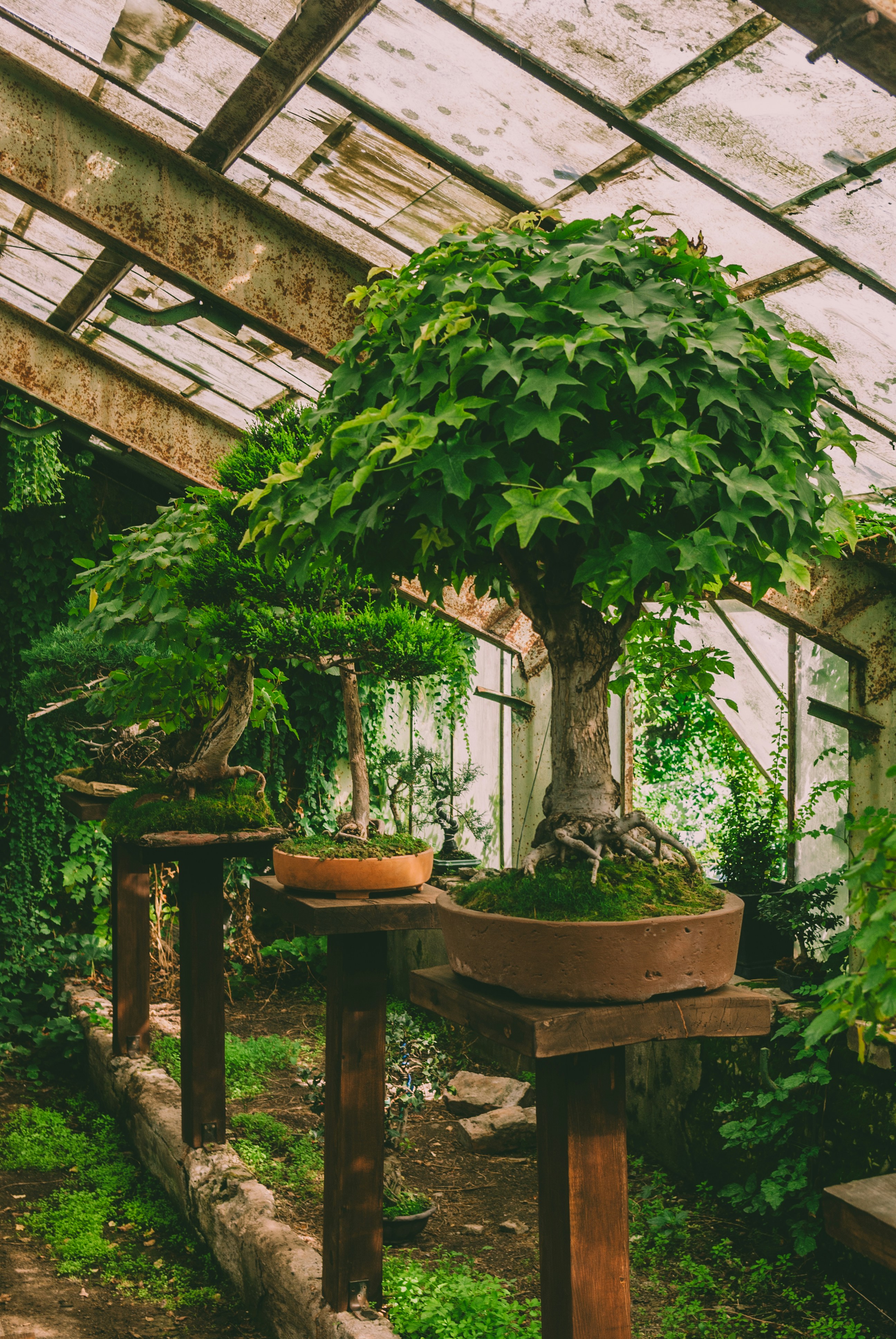 Photo by moonmoons_days