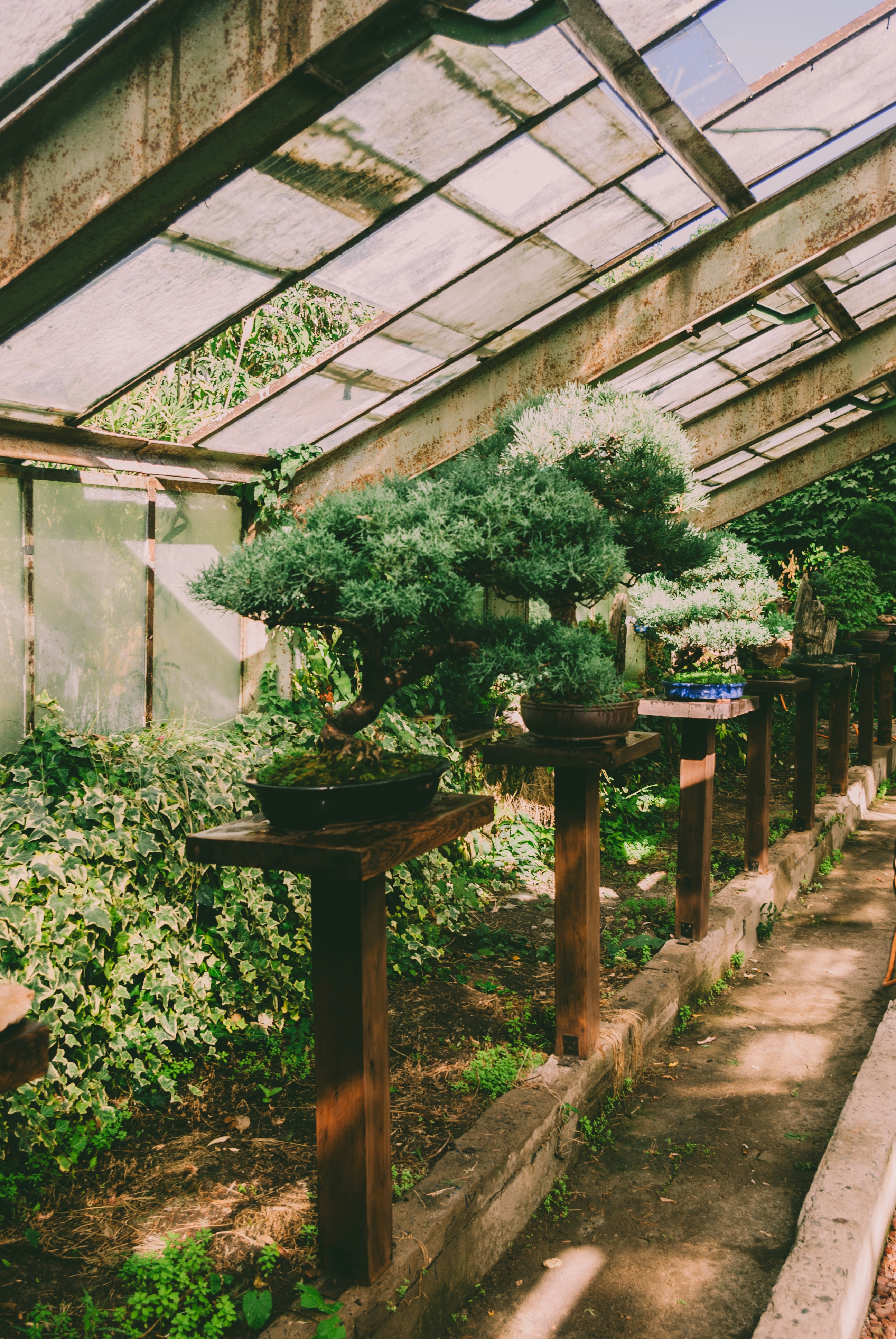 Photo by moonmoons_days