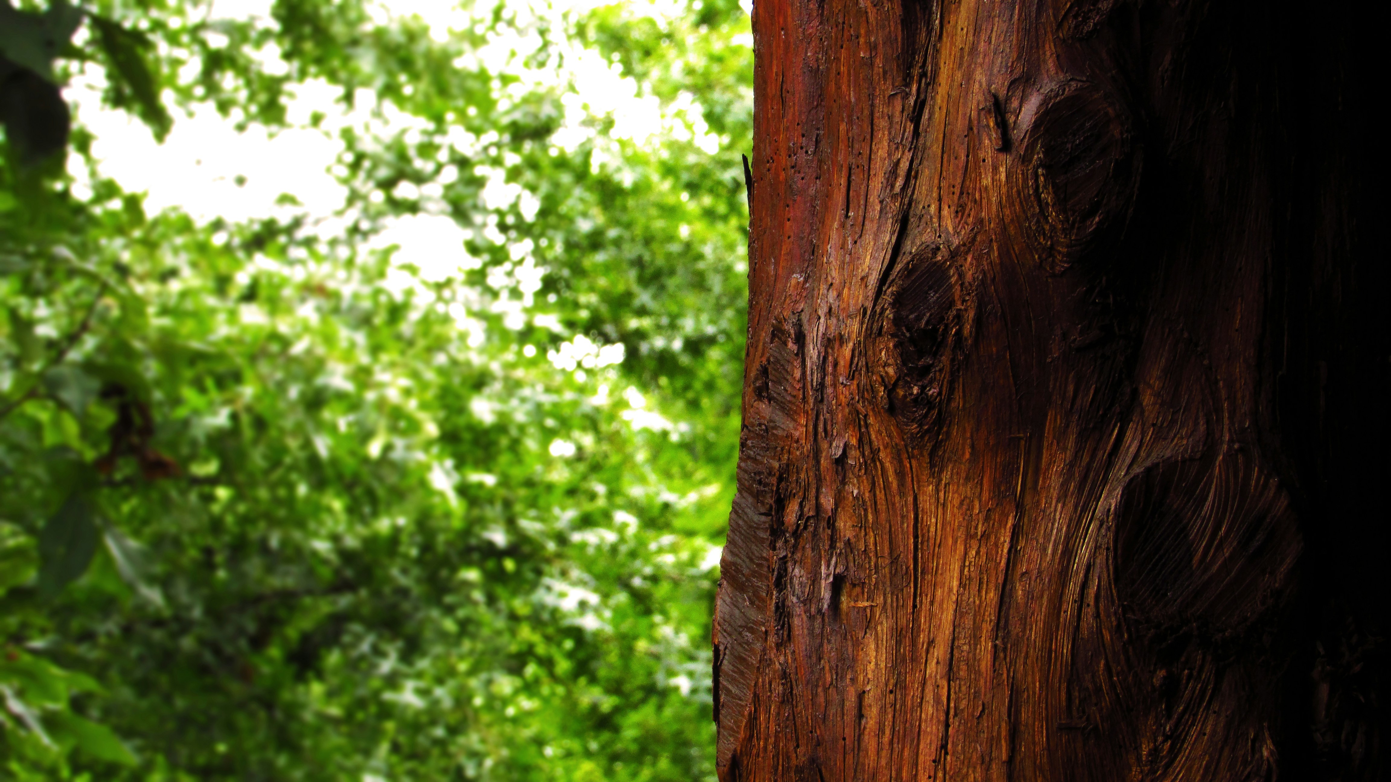 Photo by leiadakrozjhen