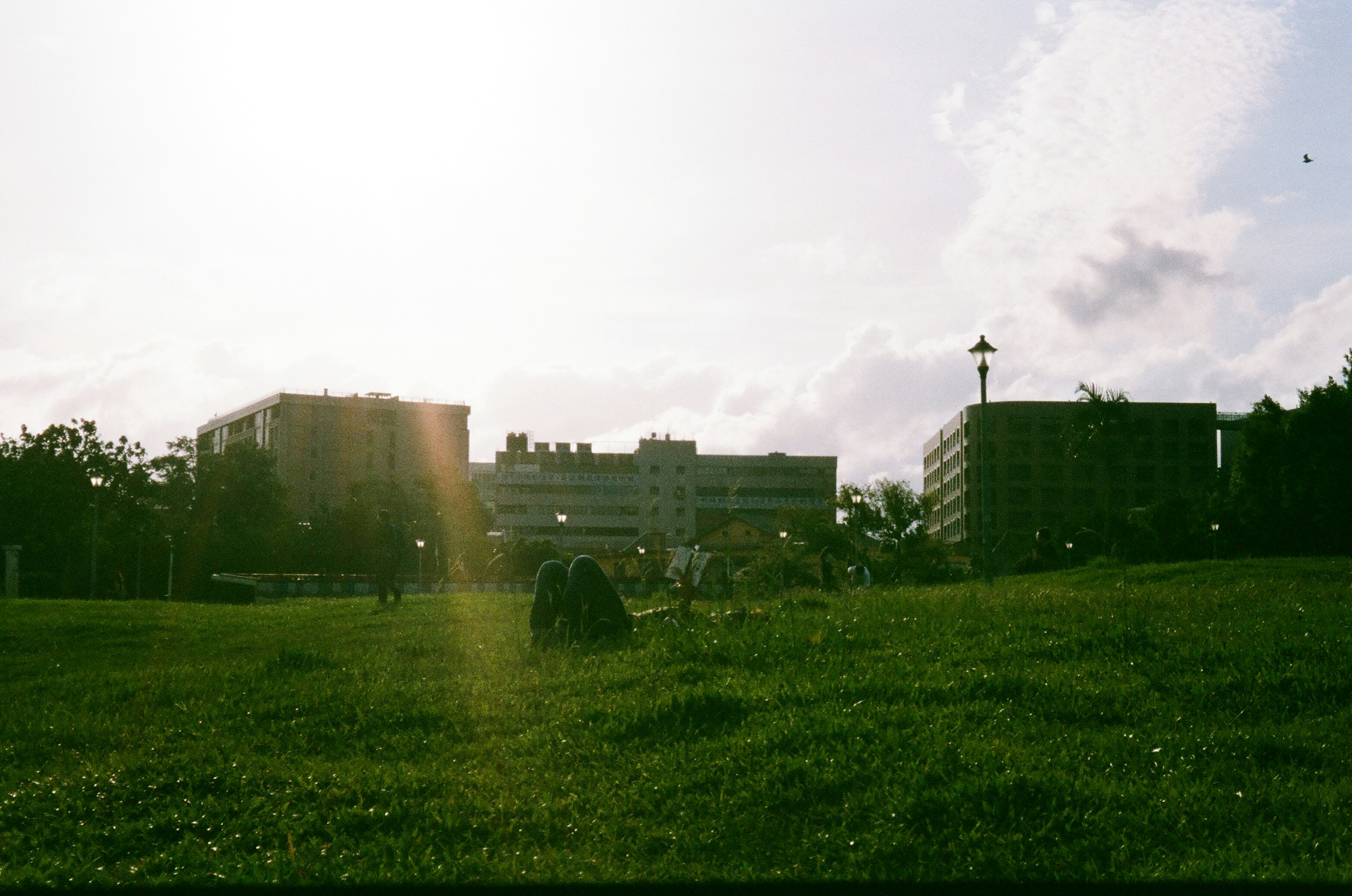 a large green field with buildings in the background