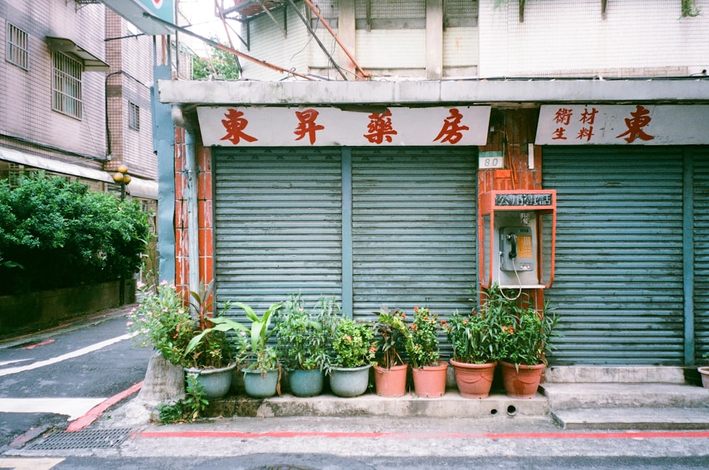 a store front with plants in front