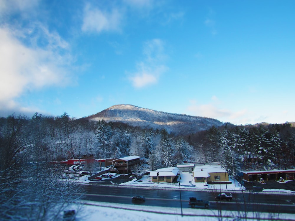 a snowy mountain with buildings and trees