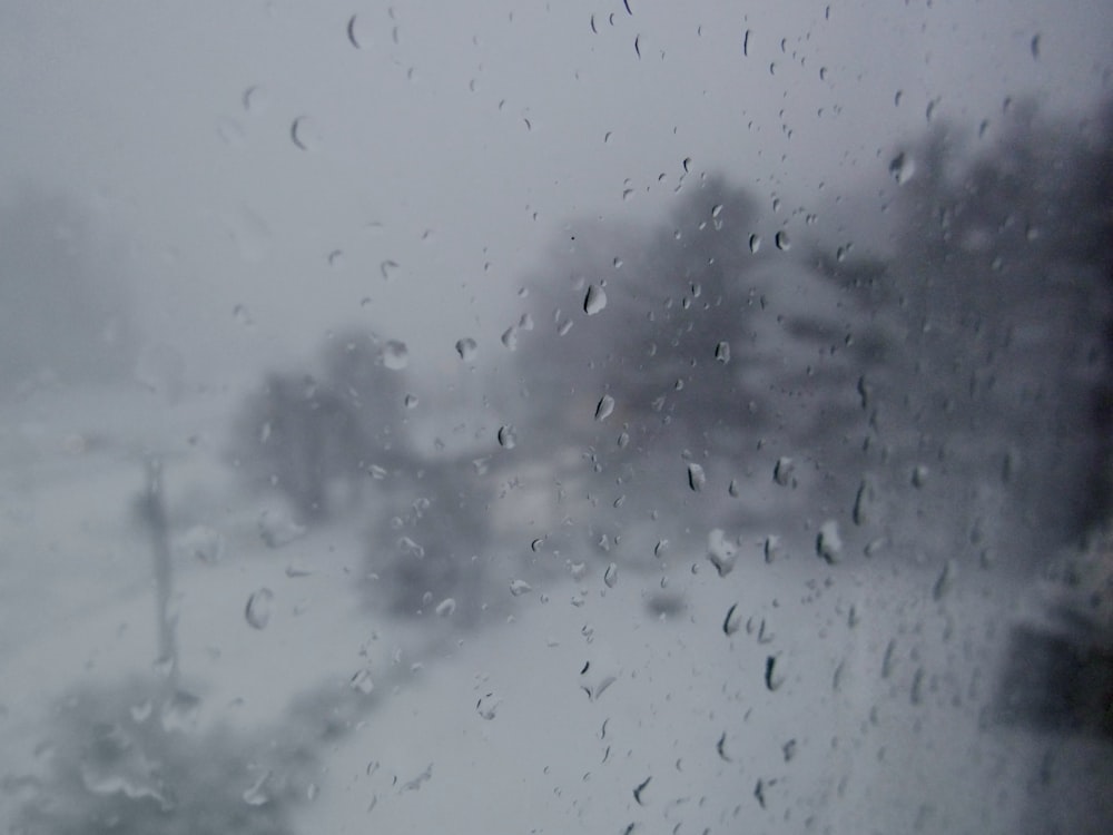 raindrops on a window