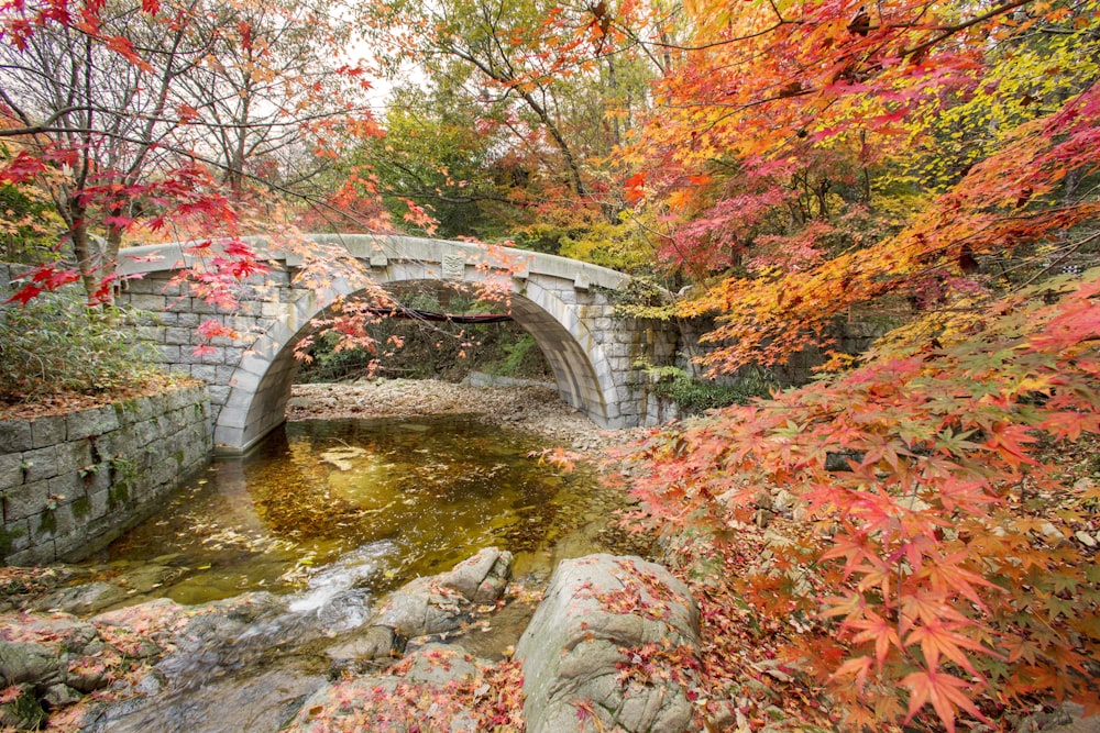 a small bridge over a stream