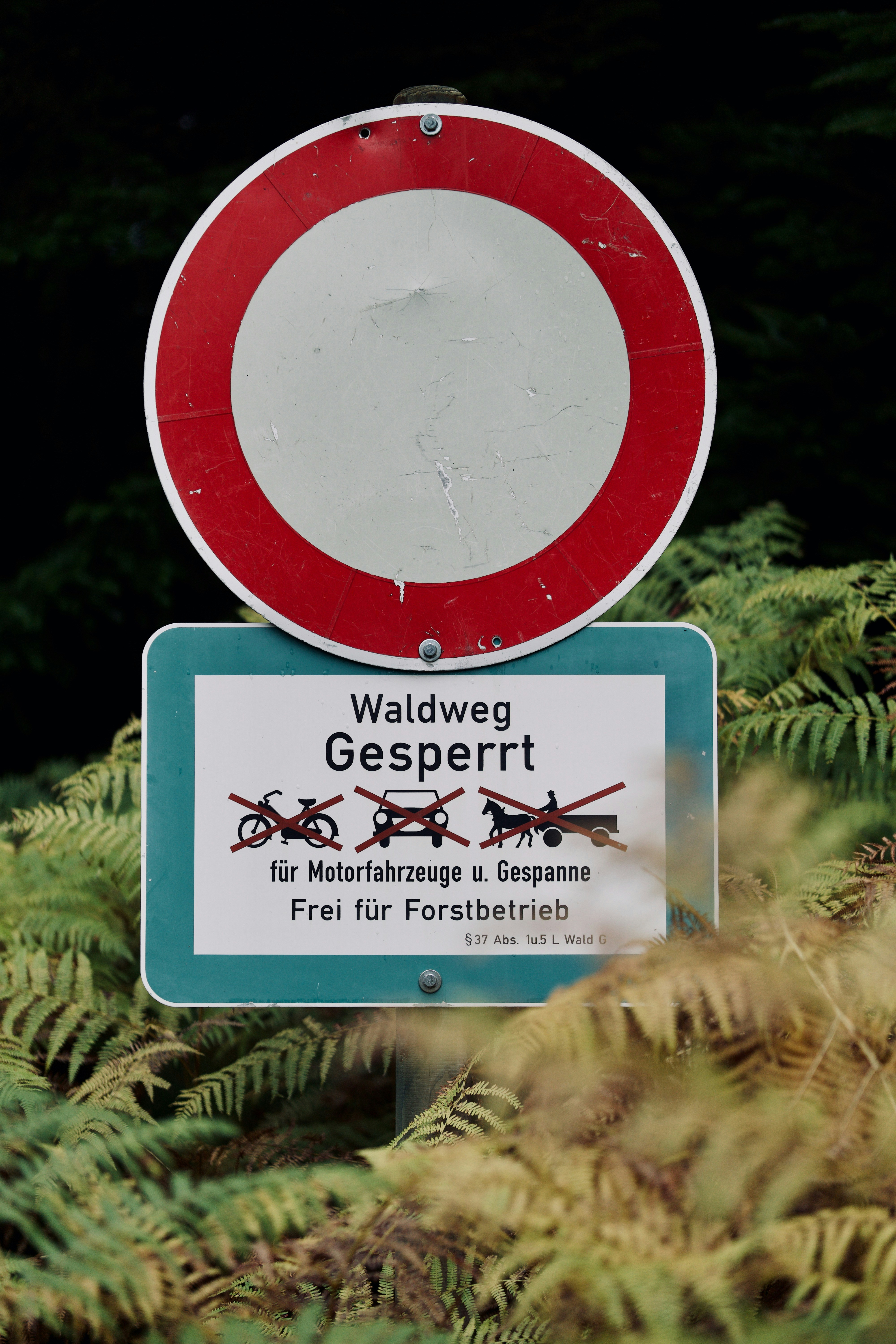 ein Schild an einem Baum