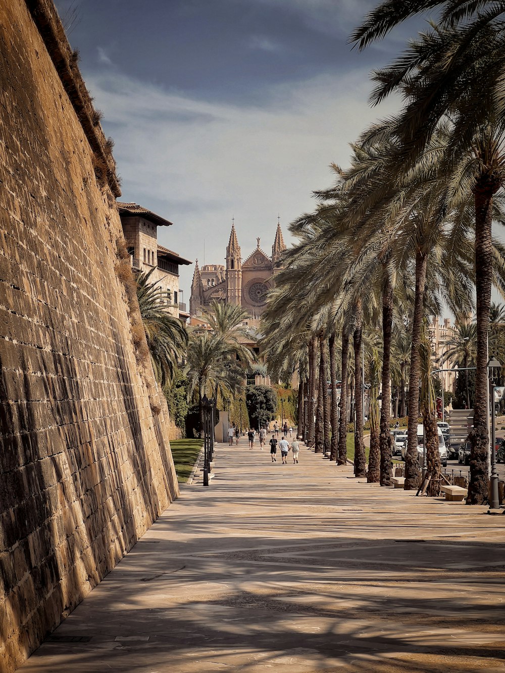 a street with palm trees and buildings