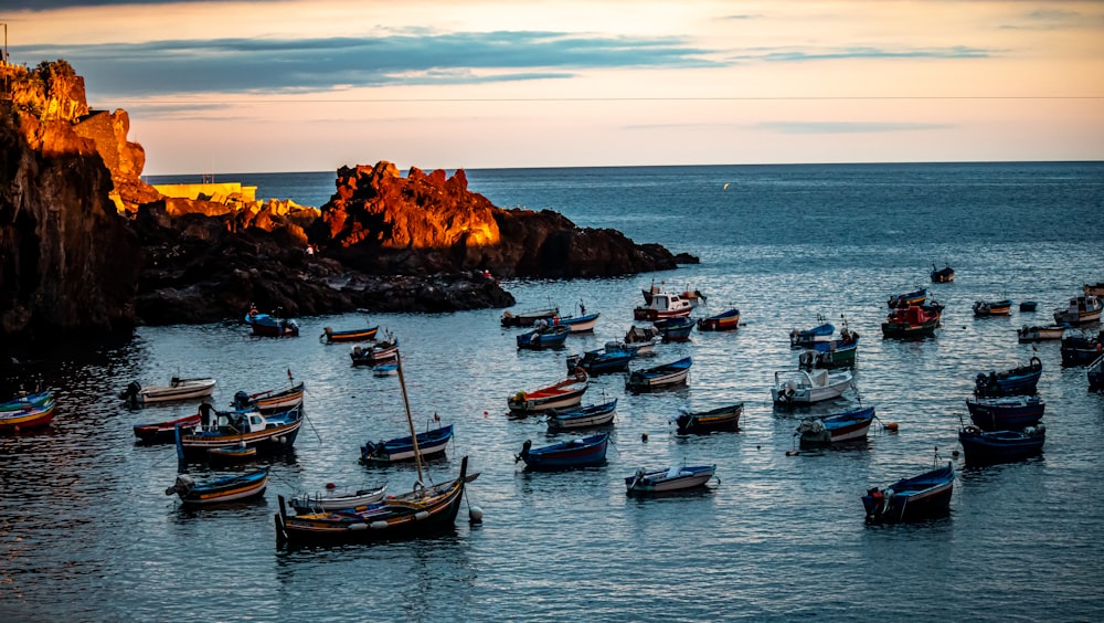 um grupo de barcos na água