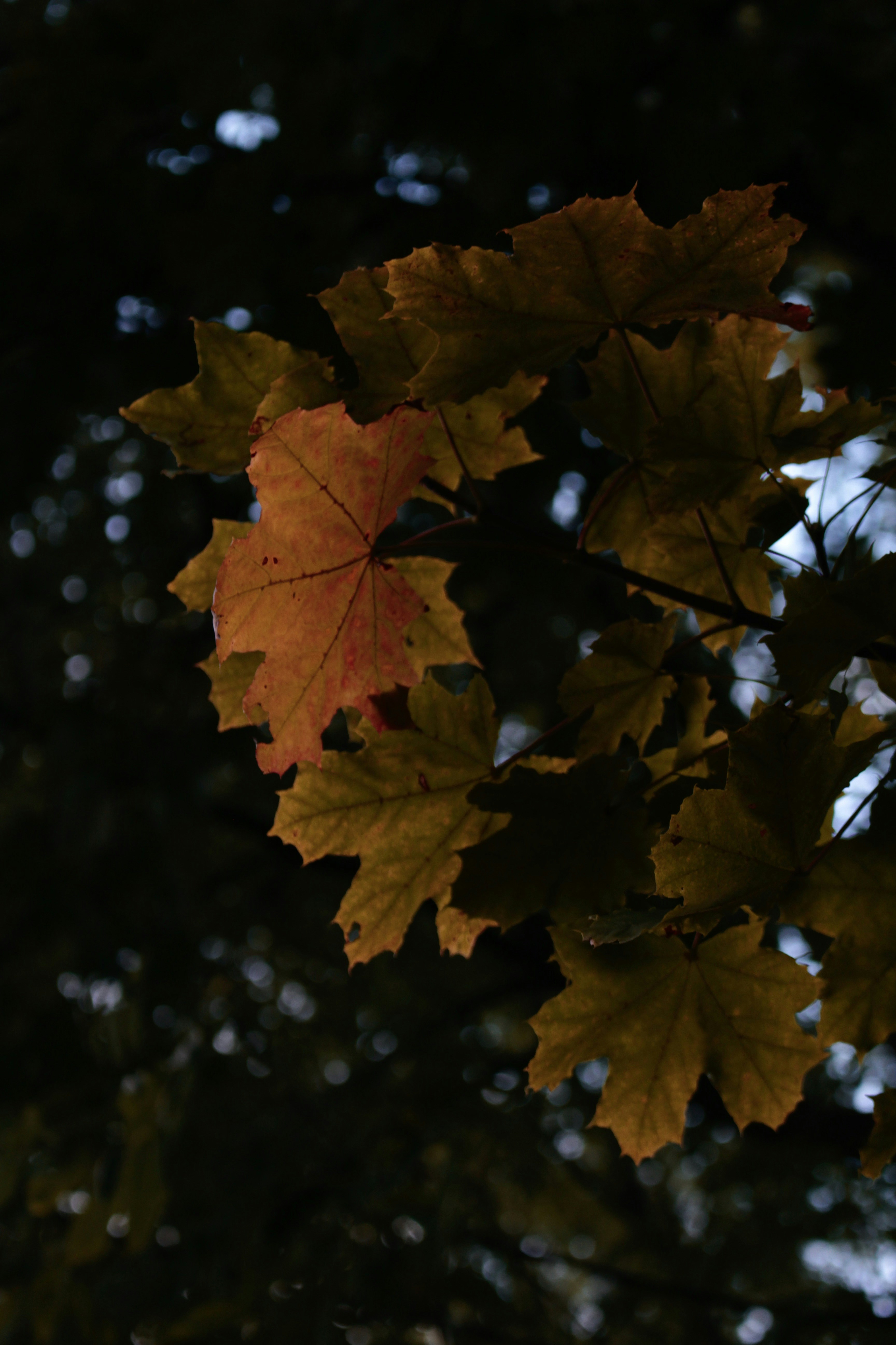 Photo by marysmoments