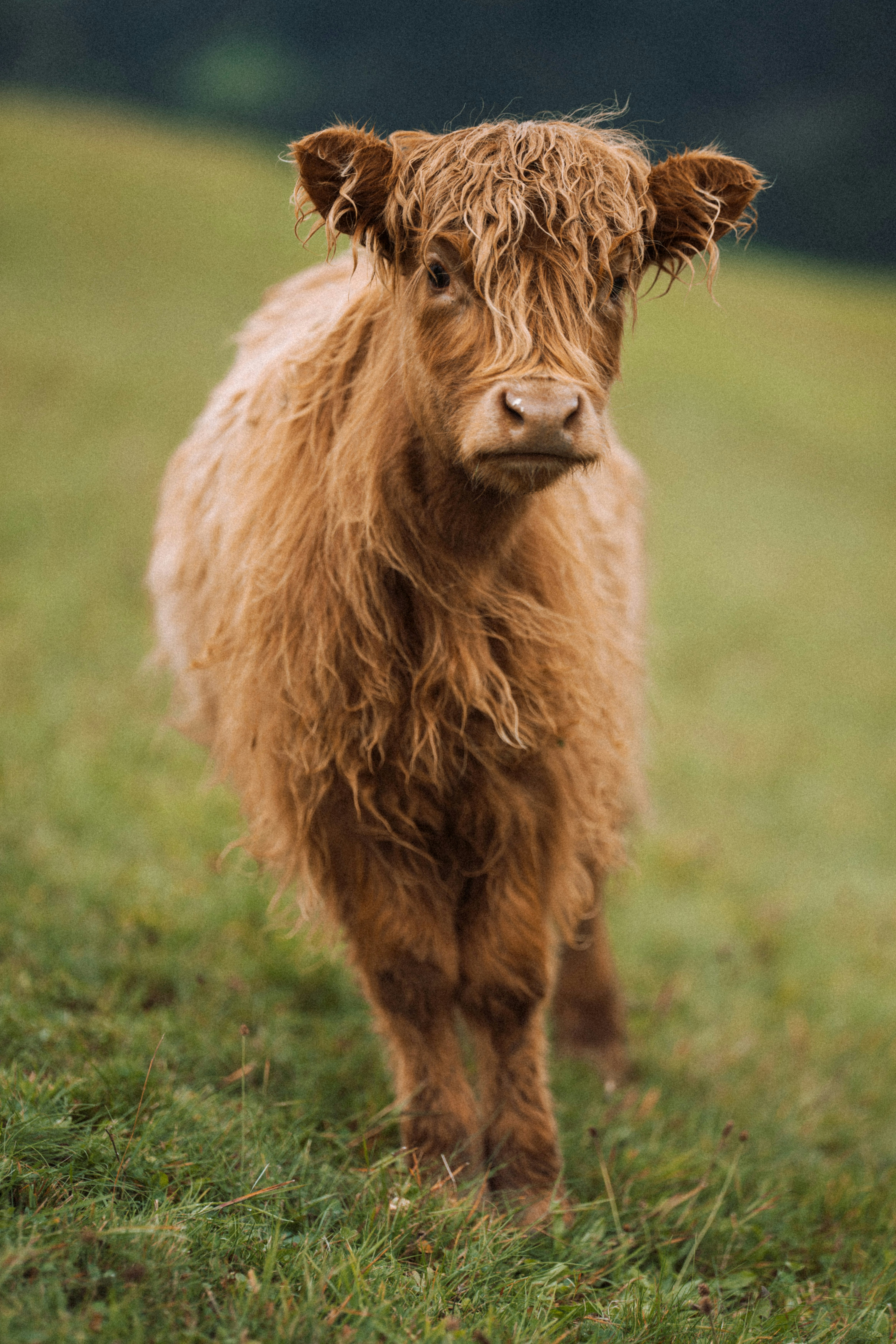 Photo by fabianbetto