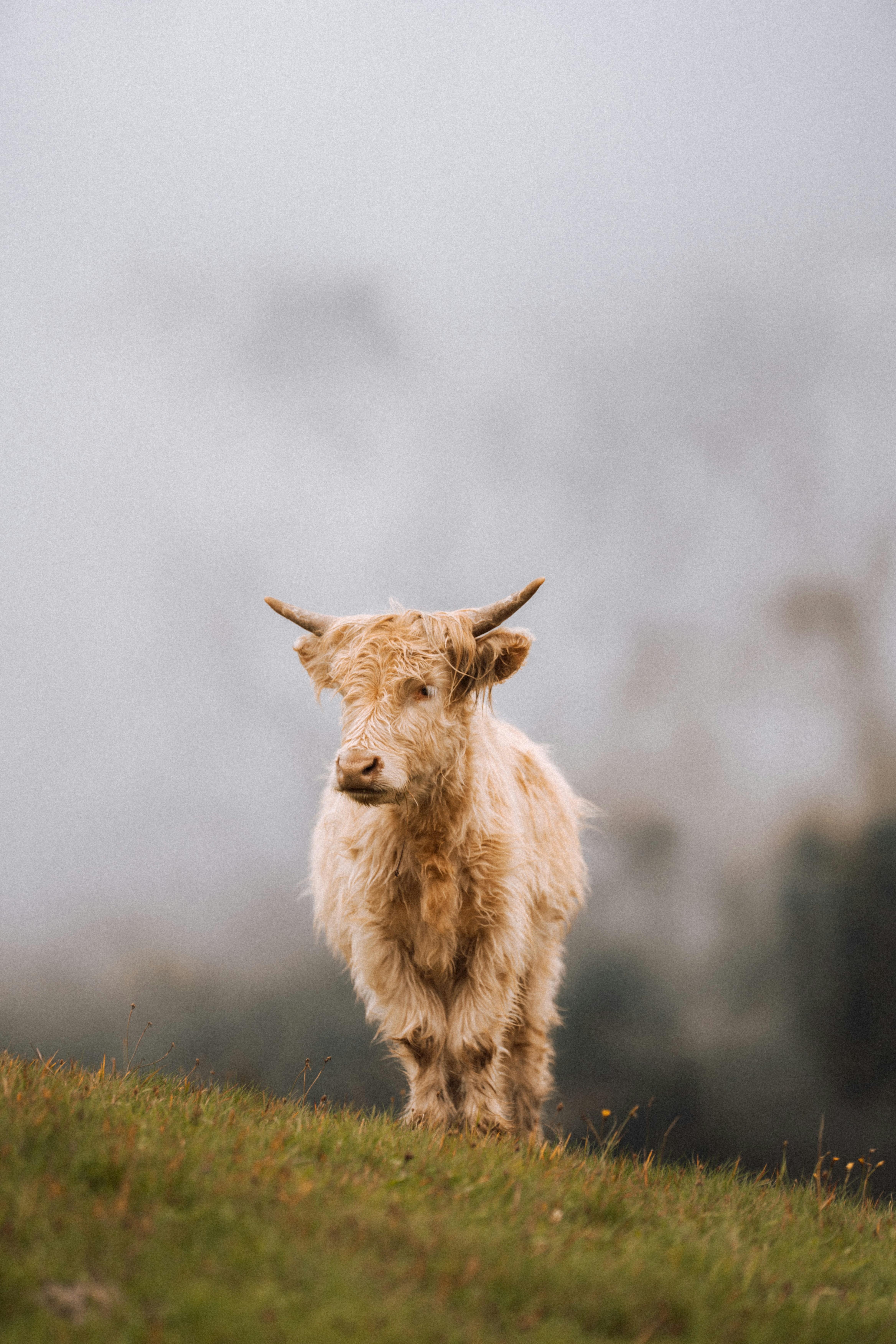 Photo by fabianbetto