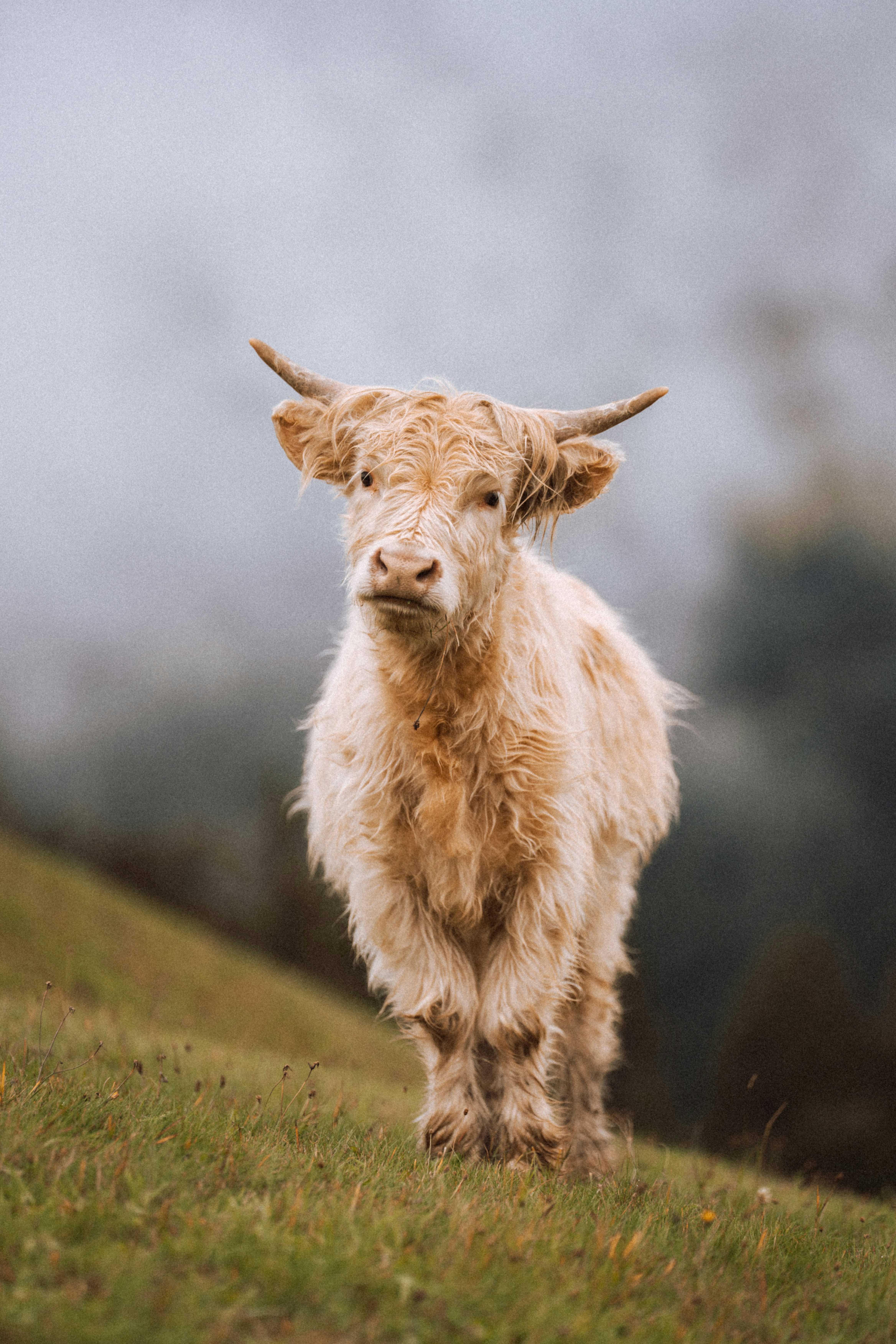 Photo by fabianbetto