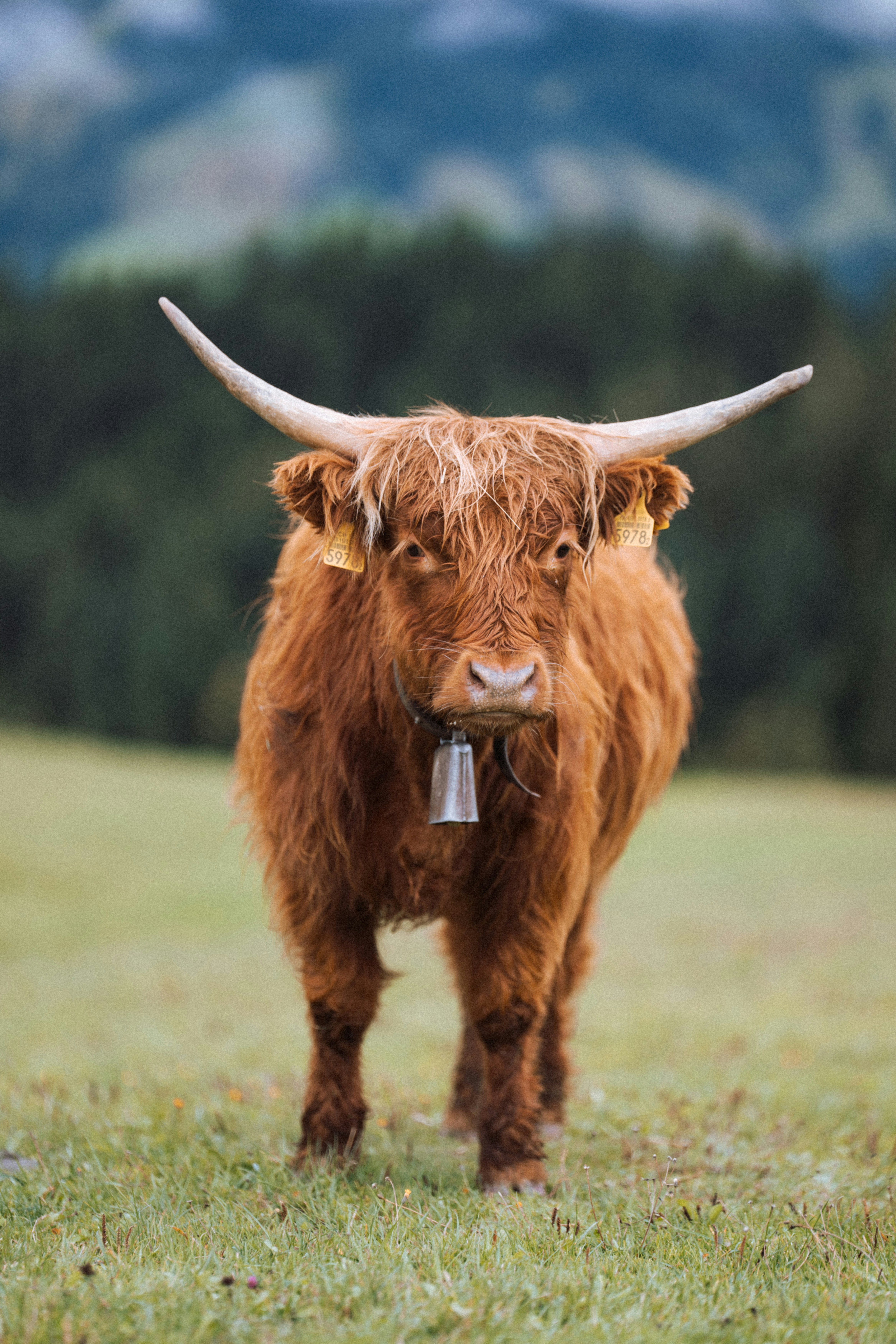 Photo by fabianbetto