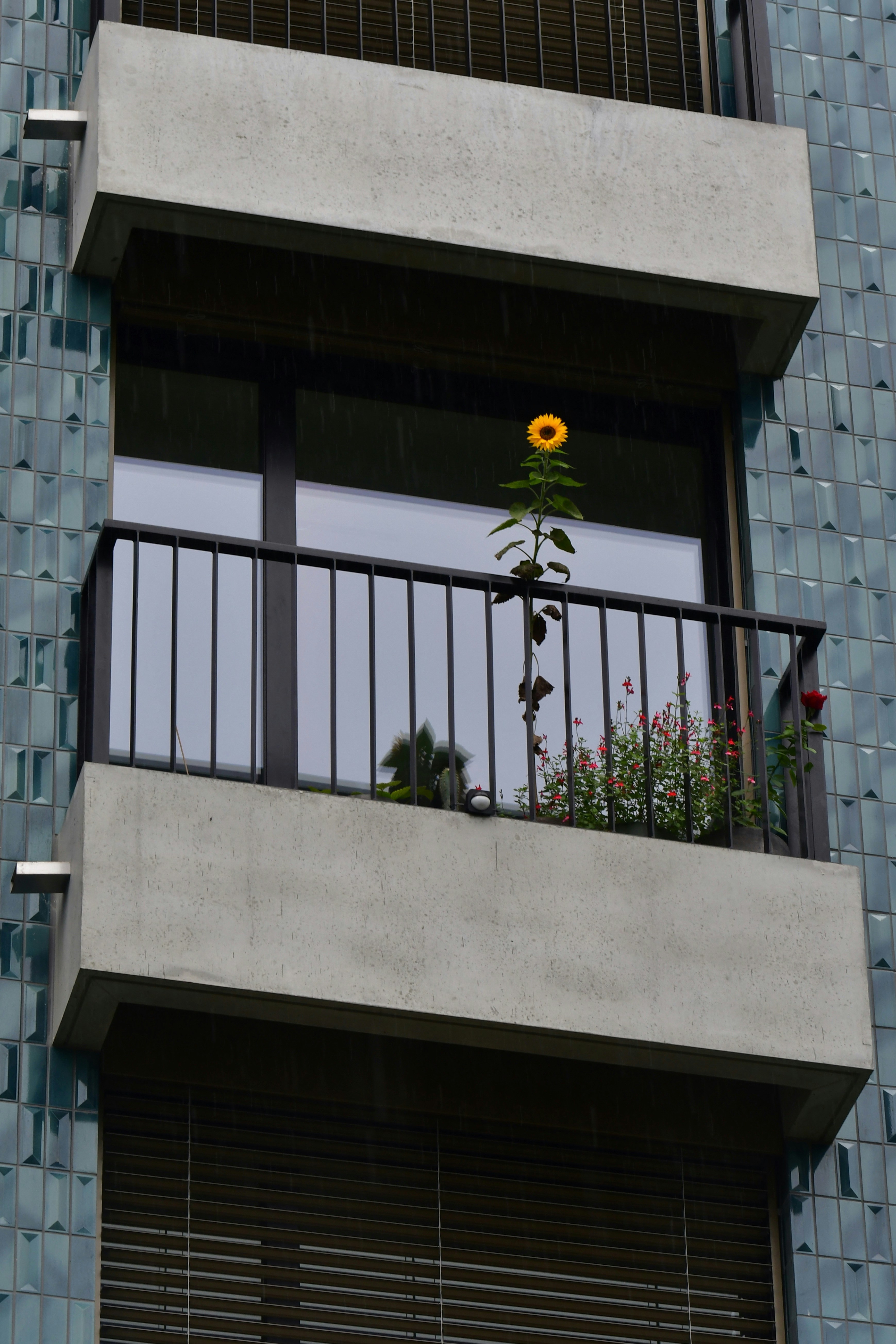 un balcon avec des fleurs dessus