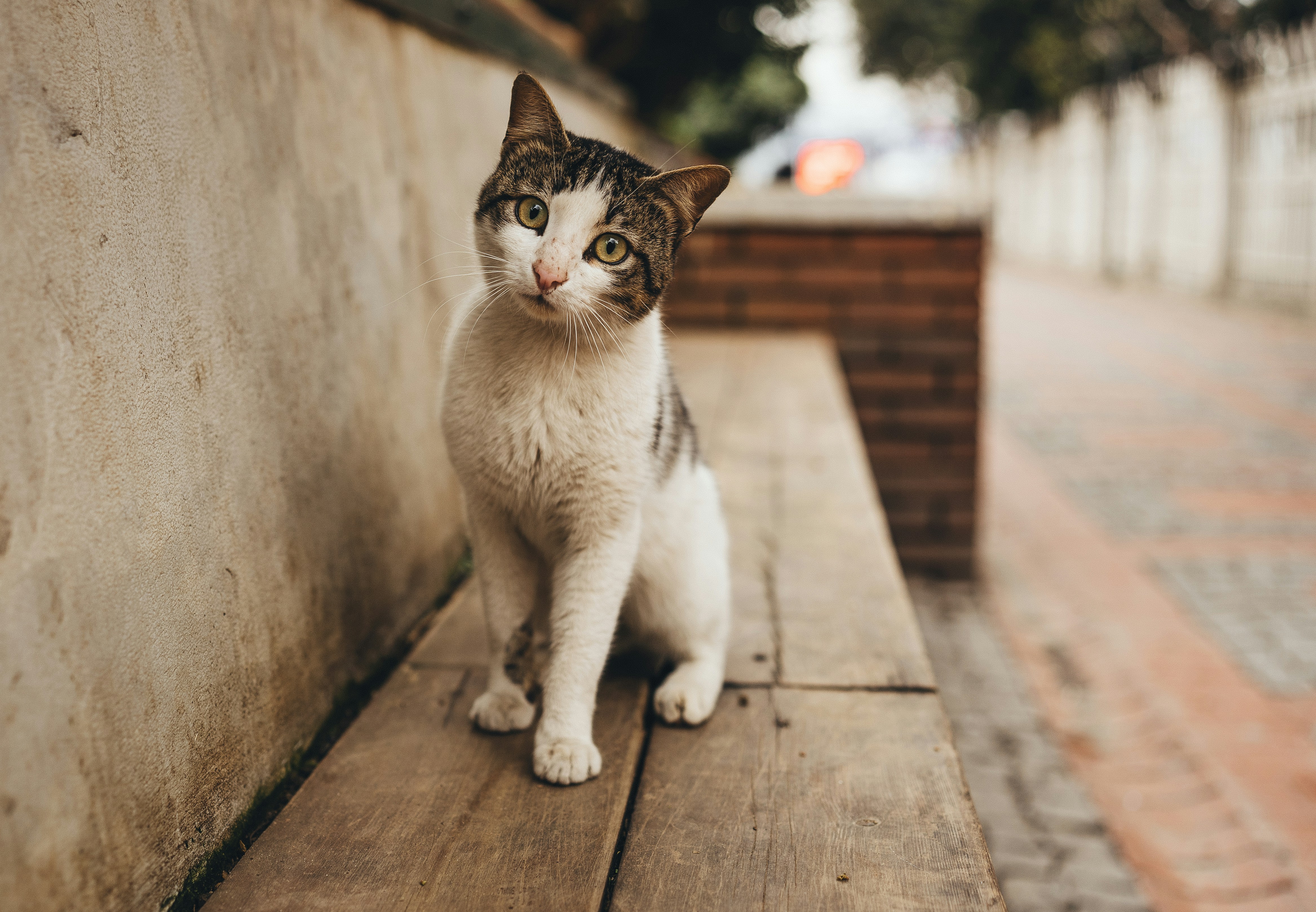 Photo by omarvellous14