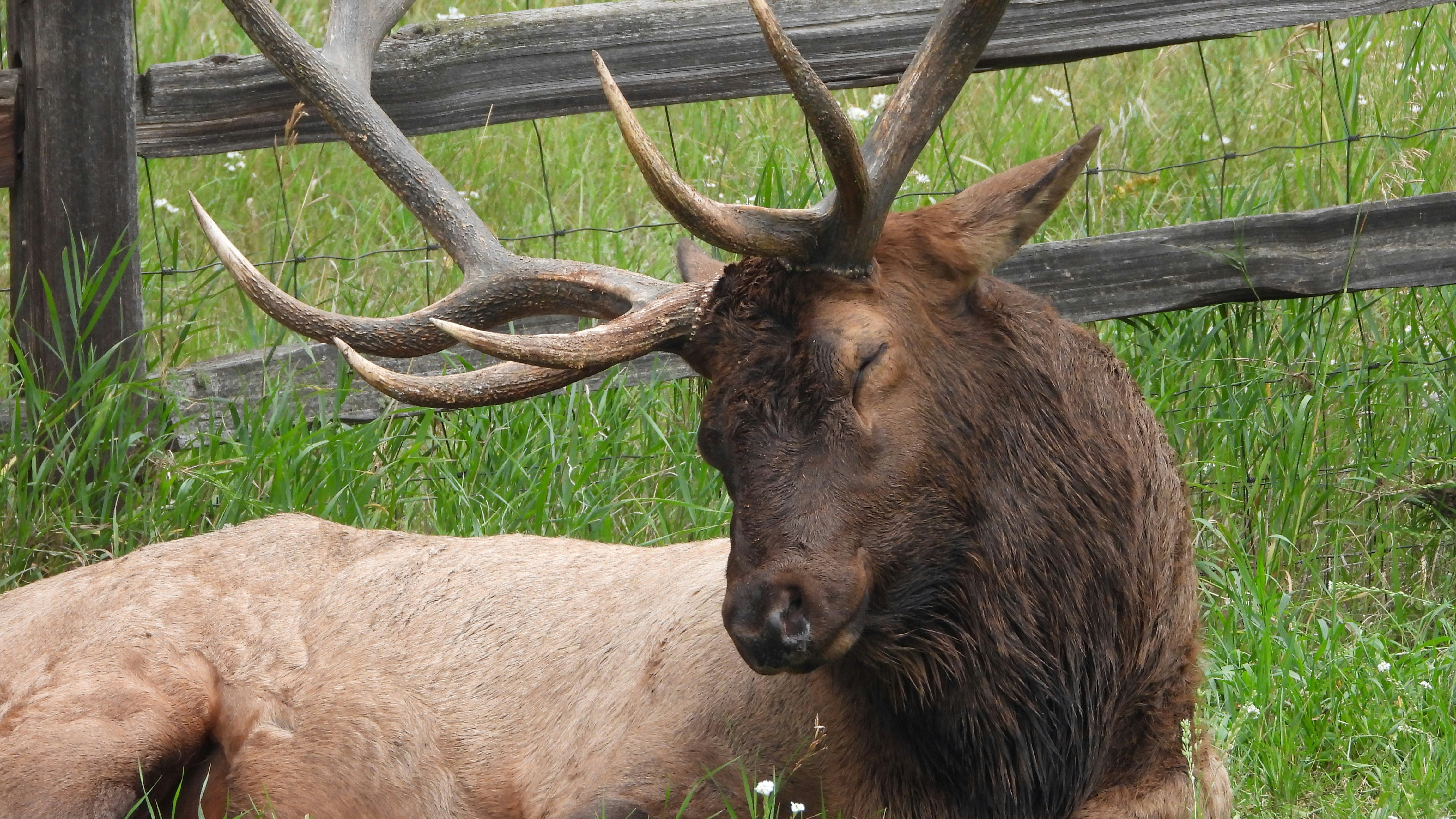 Photo by evergreene24