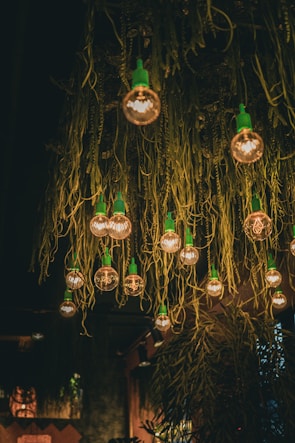 A green energy-efficient lighting solution in a residential setting.