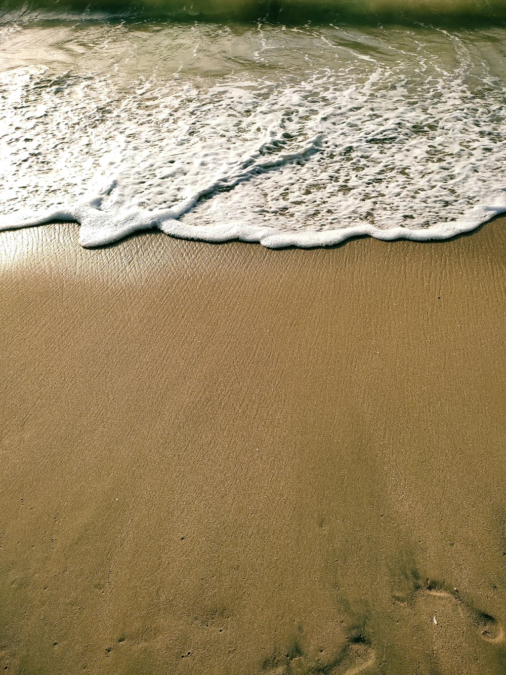 a close-up of a beach