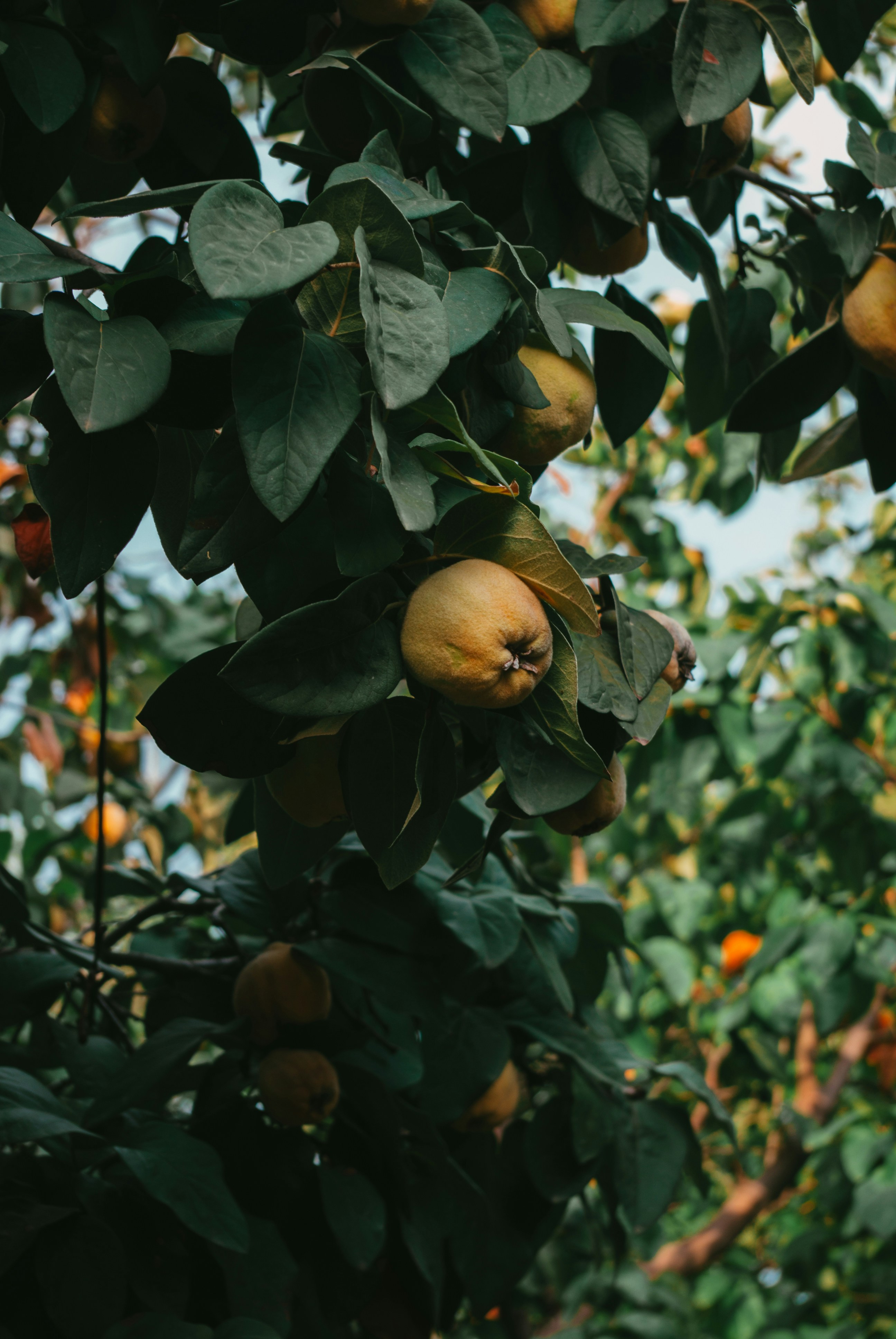 Photo by moonmoons_days