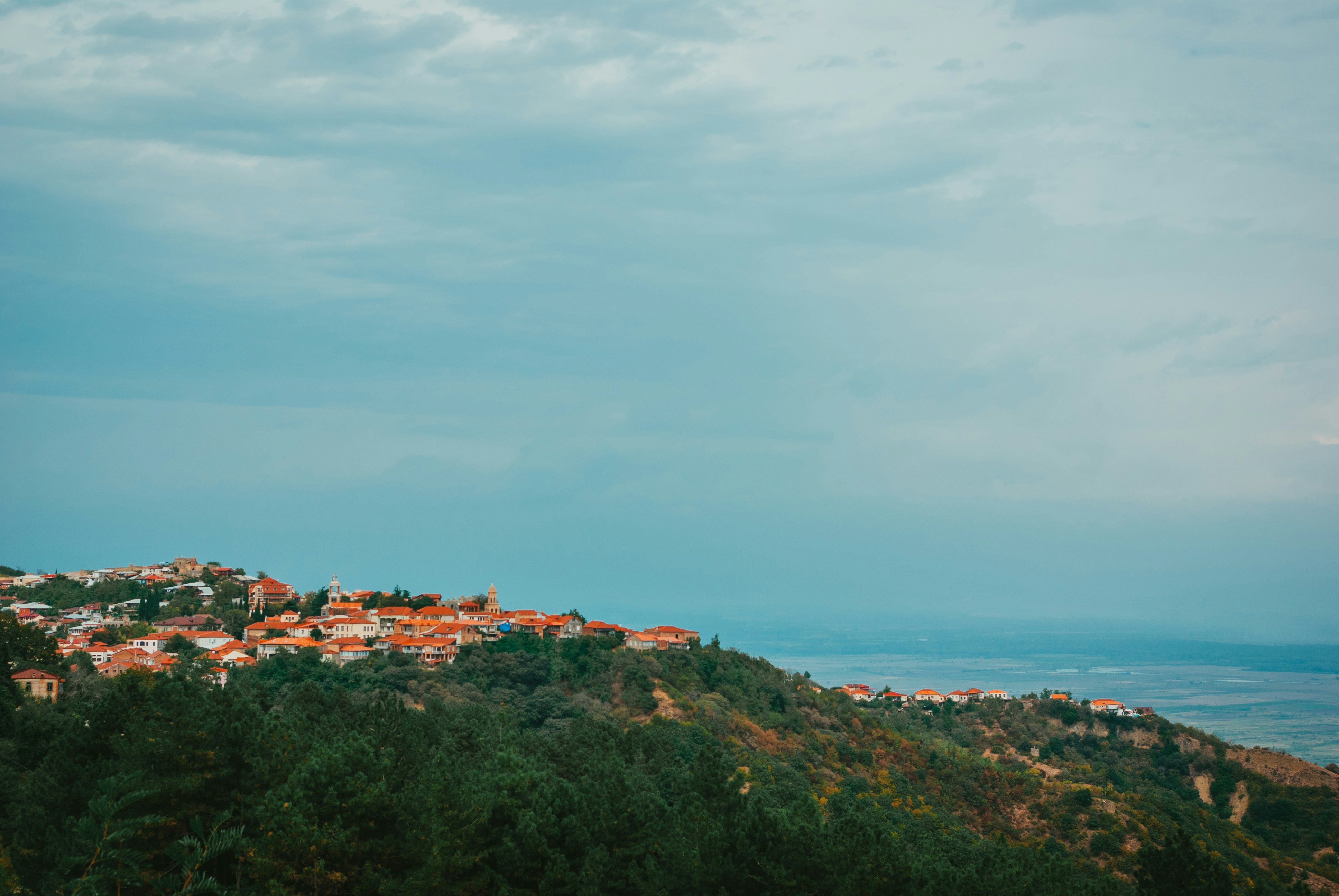 Photo by moonmoons_days