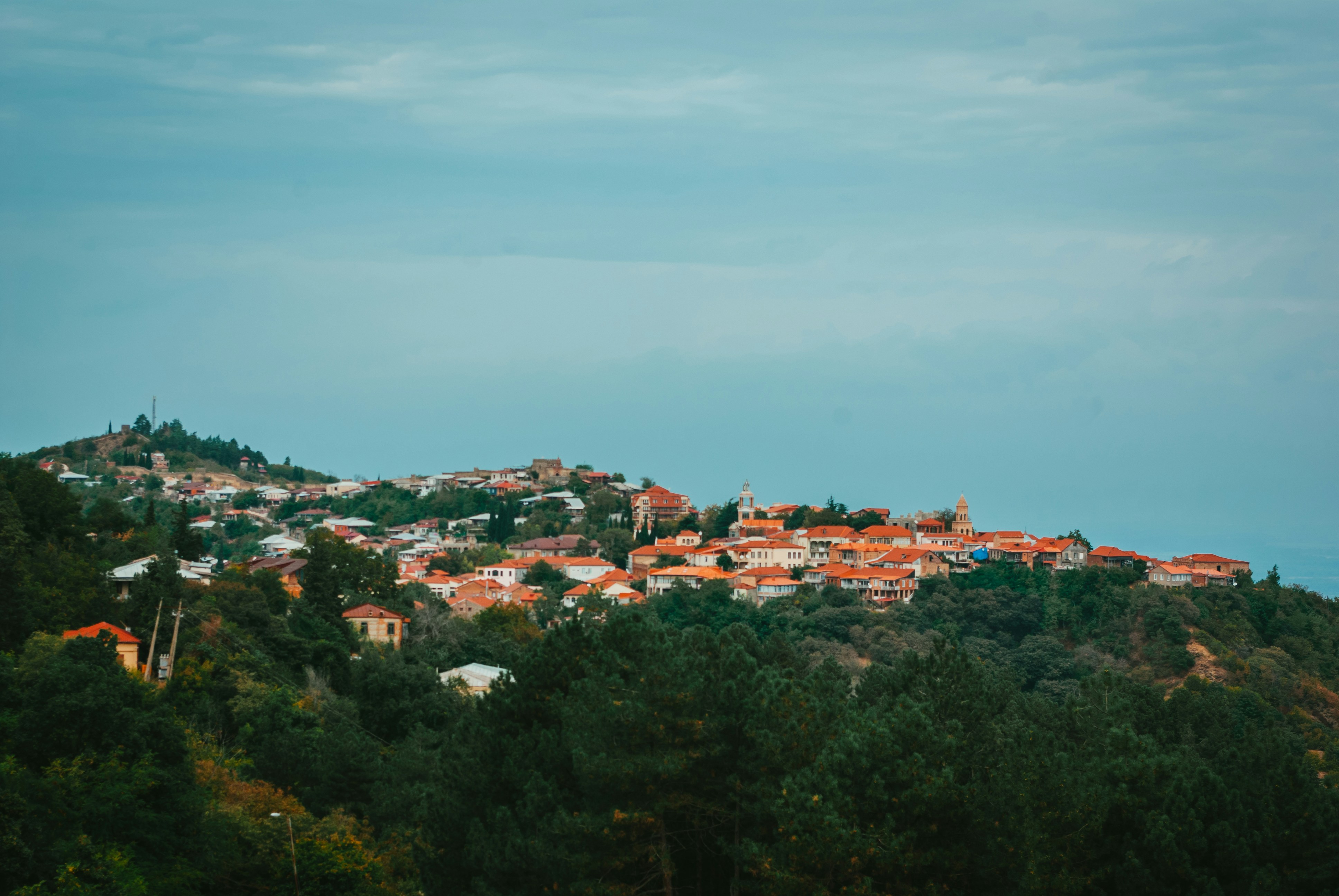 Photo by moonmoons_days