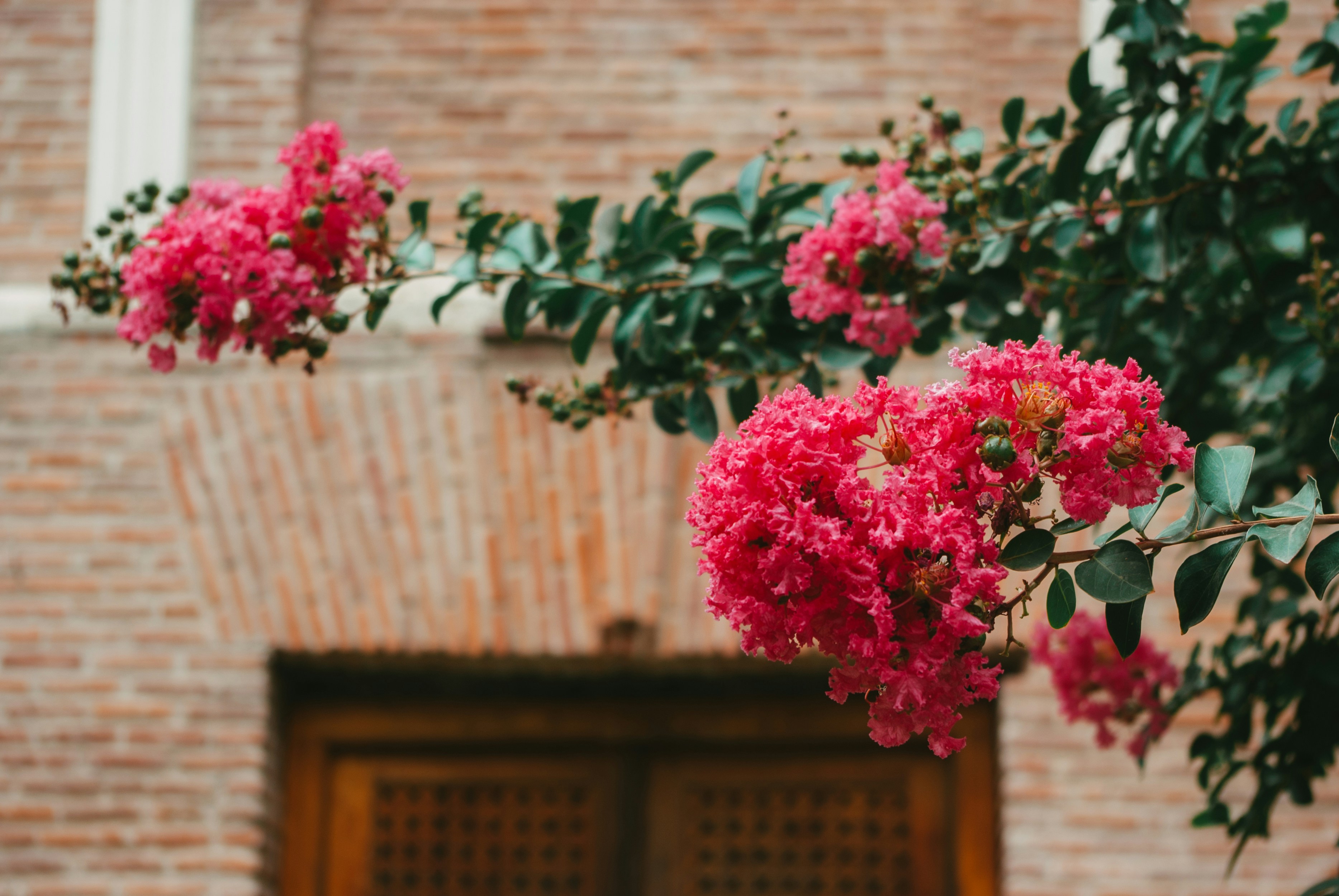 Photo by moonmoons_days