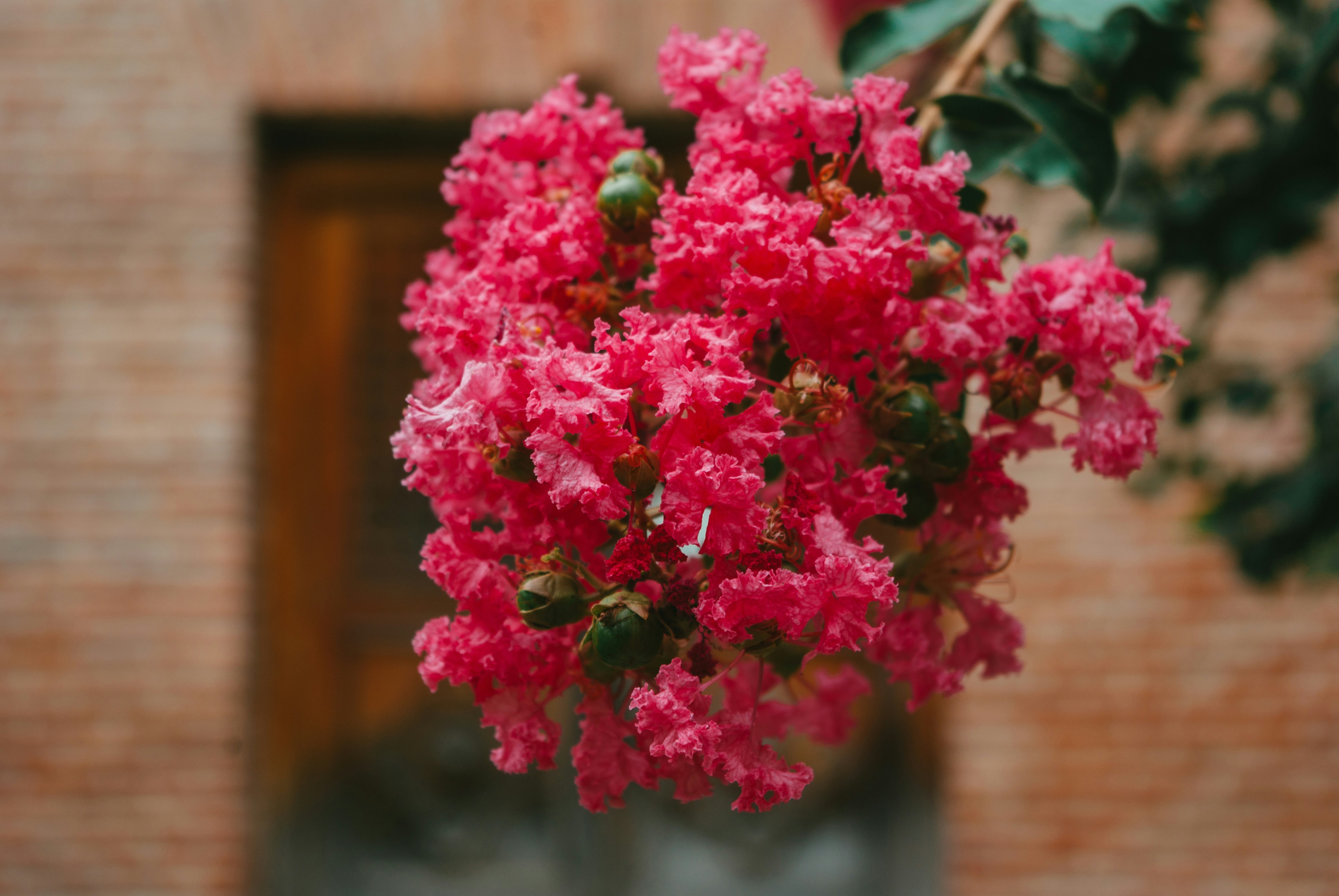 Photo by moonmoons_days