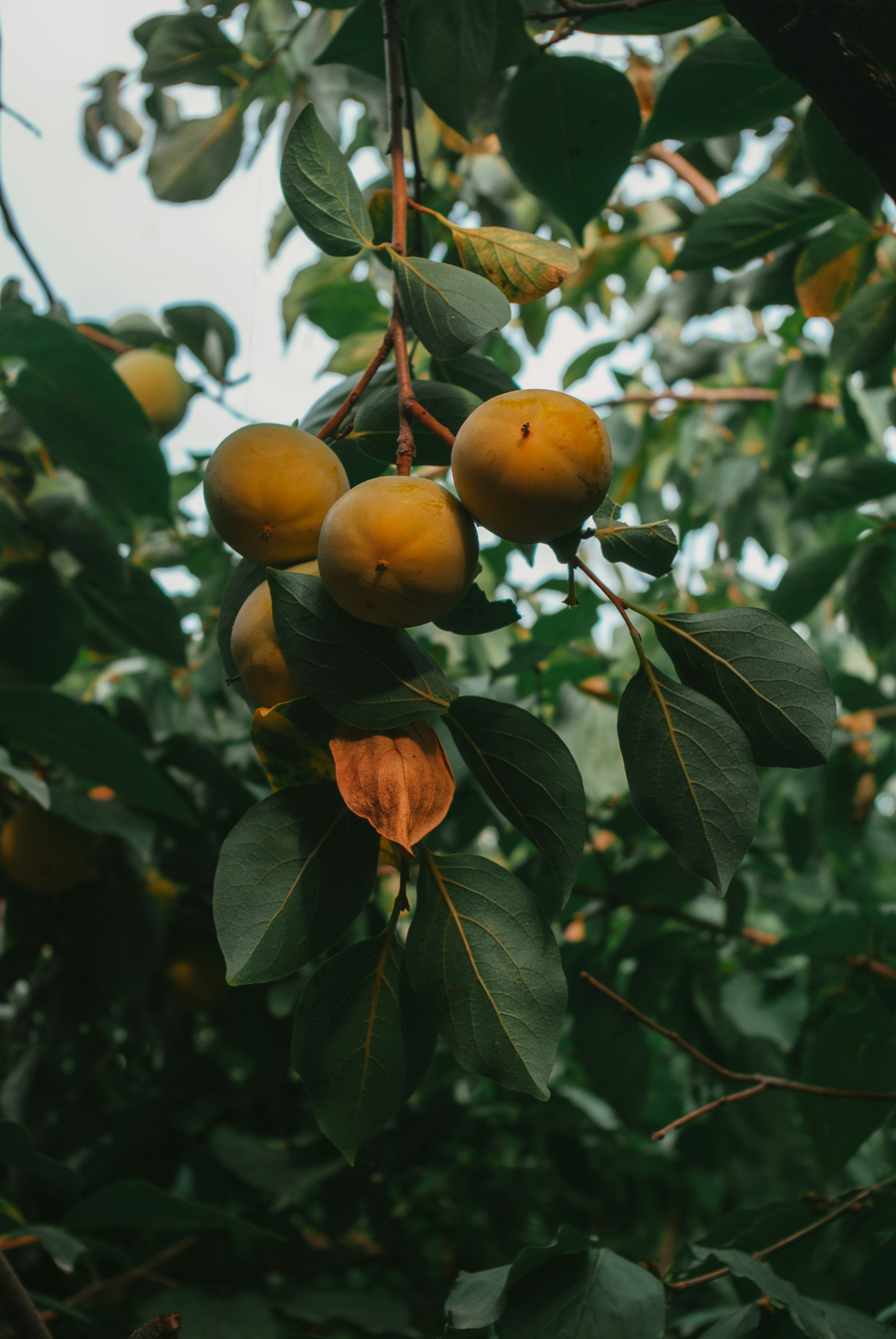 Photo by moonmoons_days