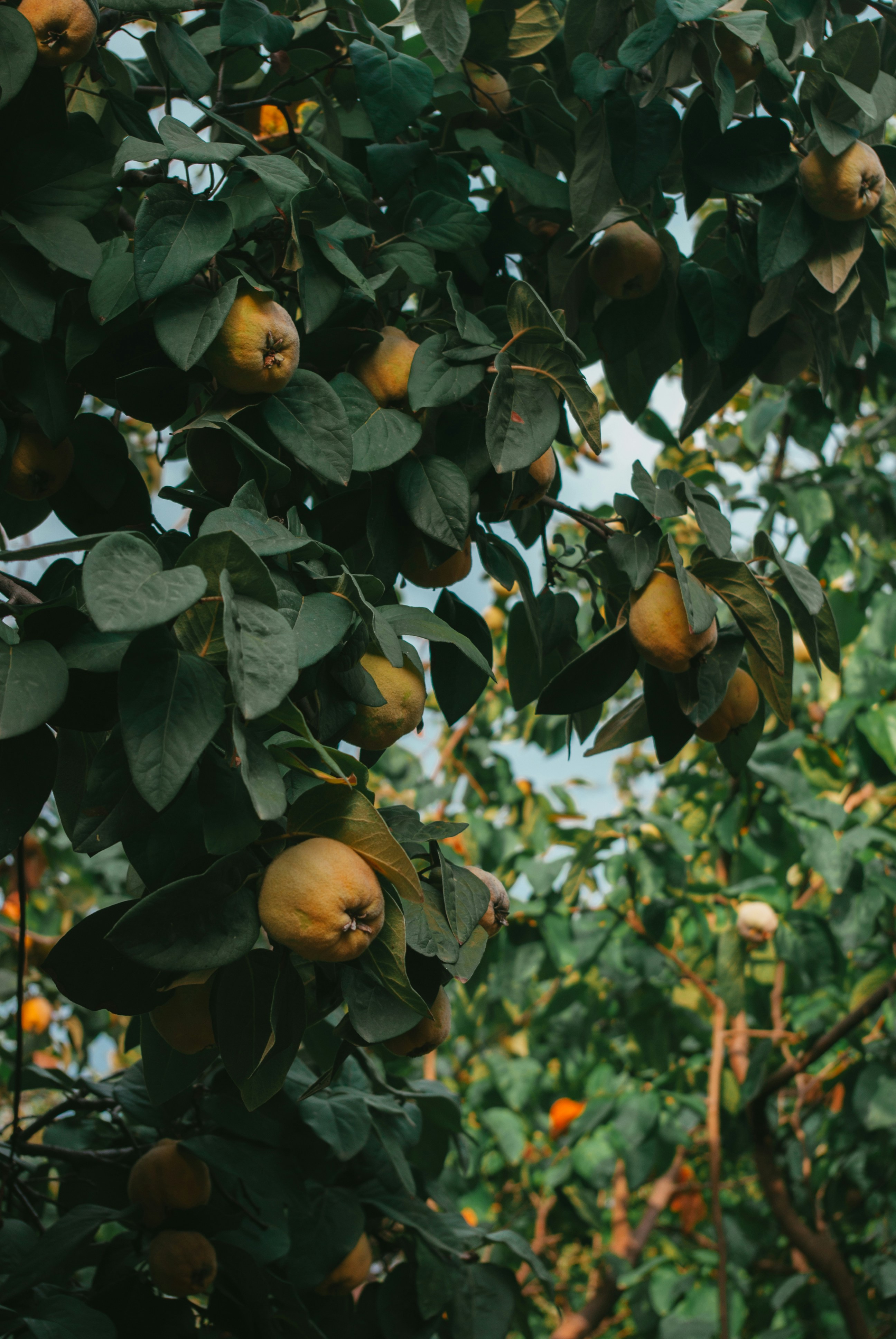 Photo by moonmoons_days