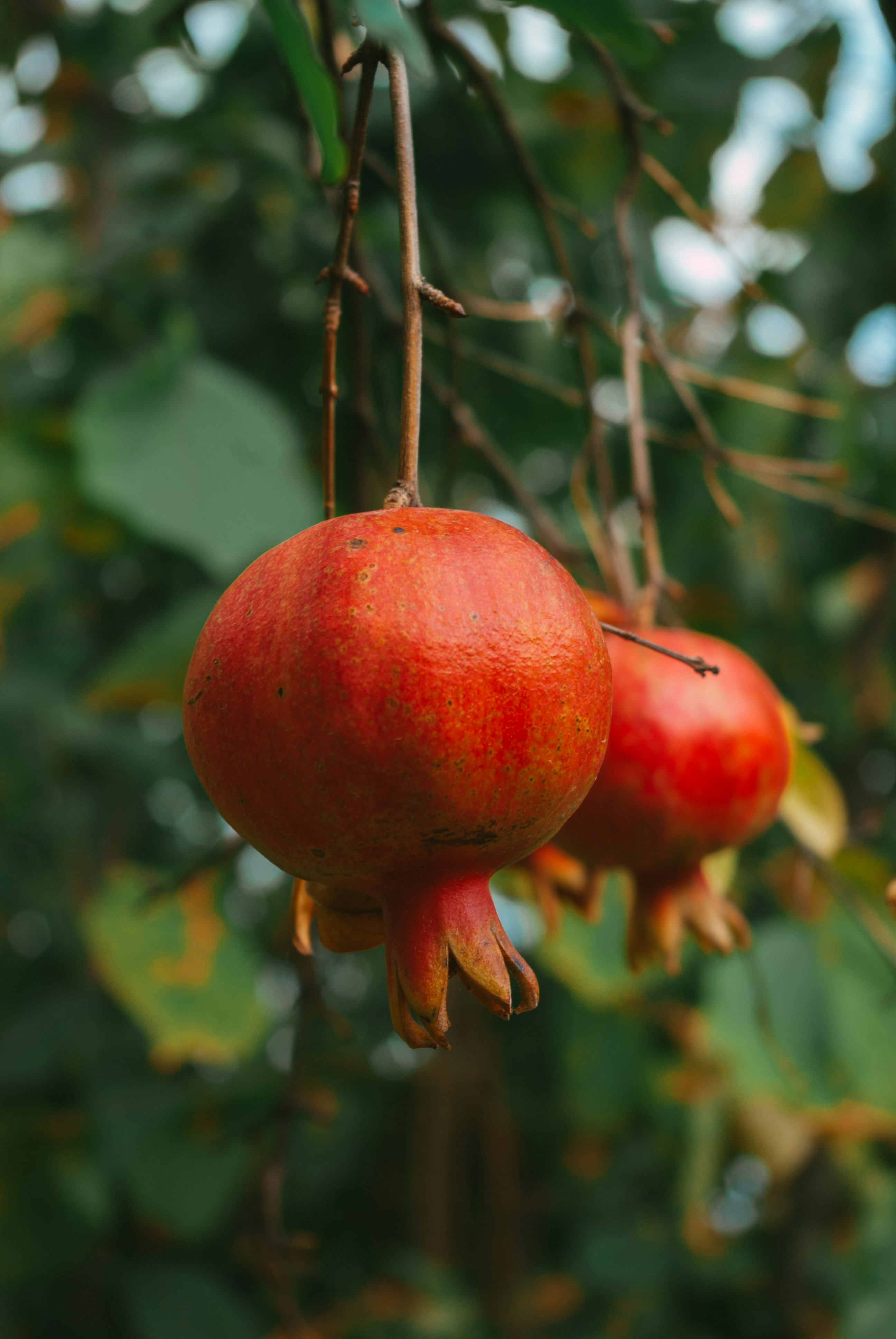 Photo by moonmoons_days