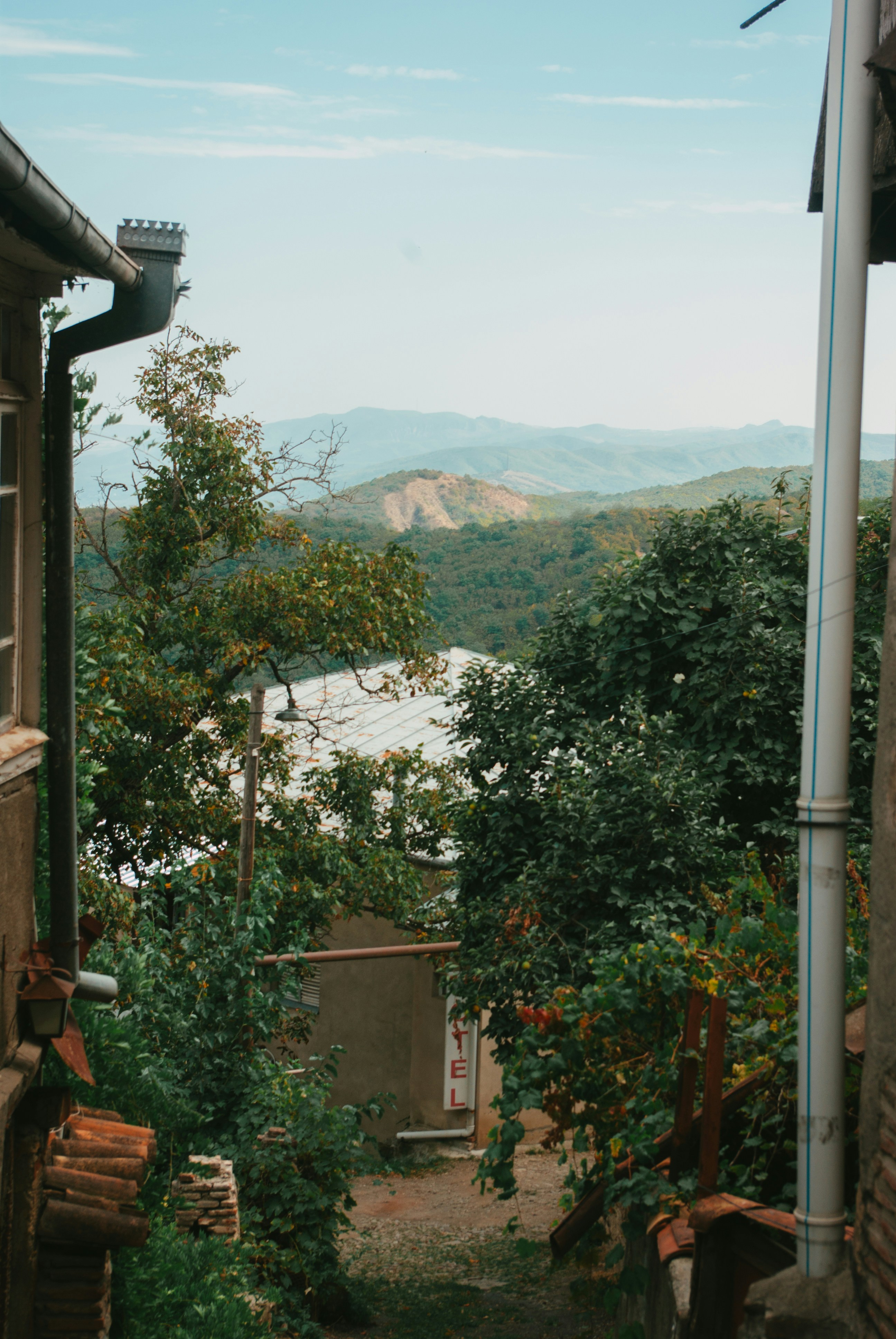 Photo by moonmoons_days