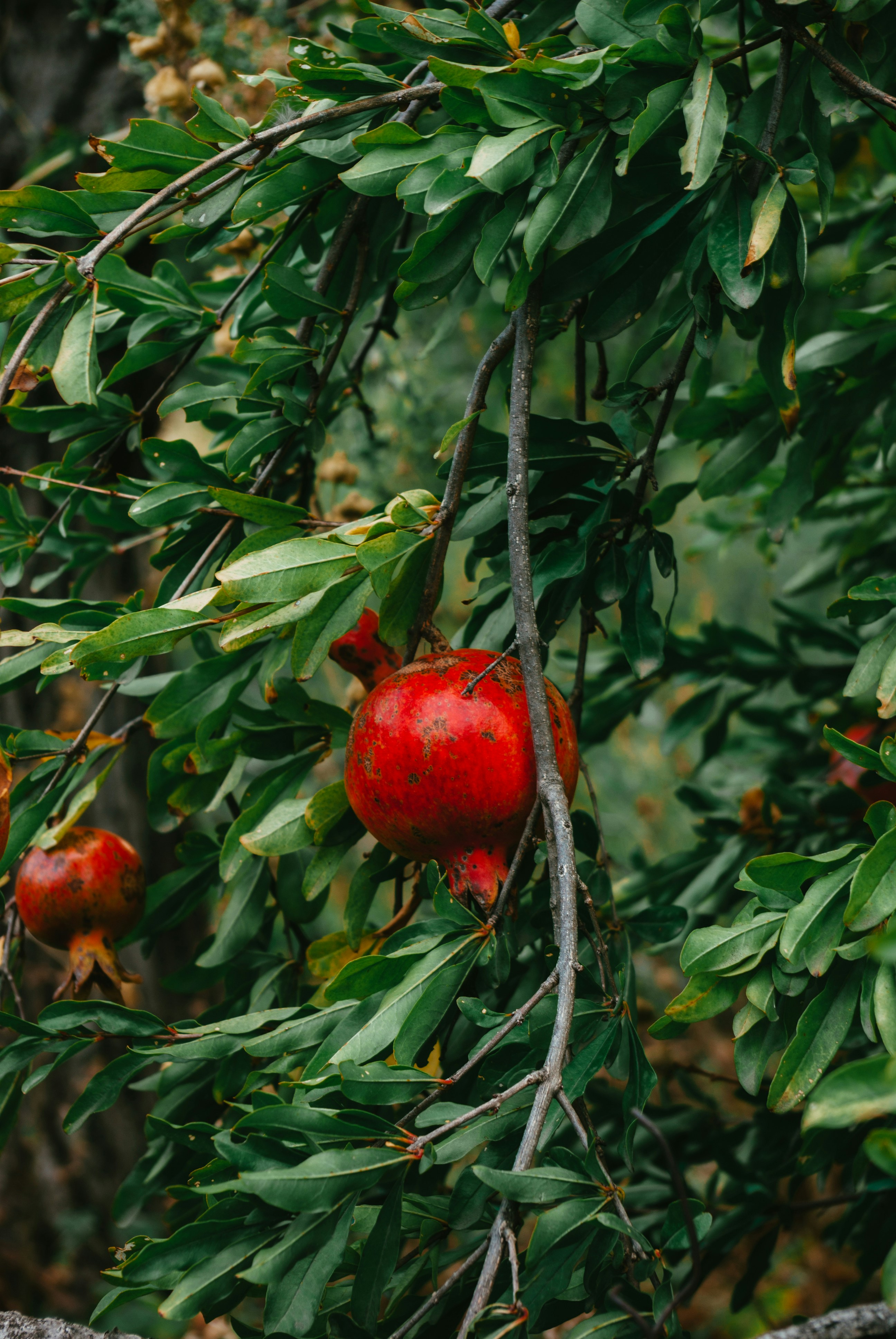 Photo by moonmoons_days