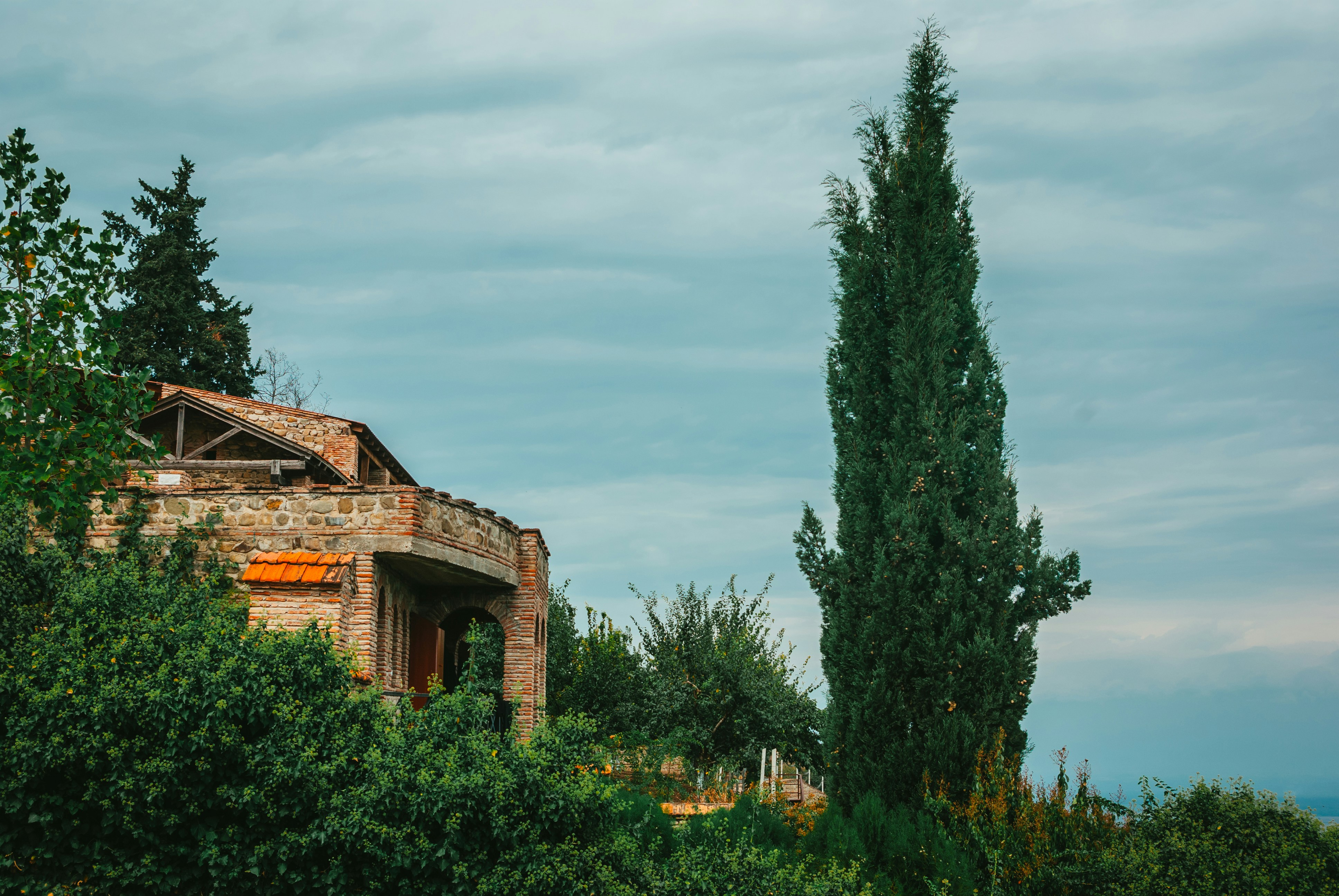 Photo by moonmoons_days