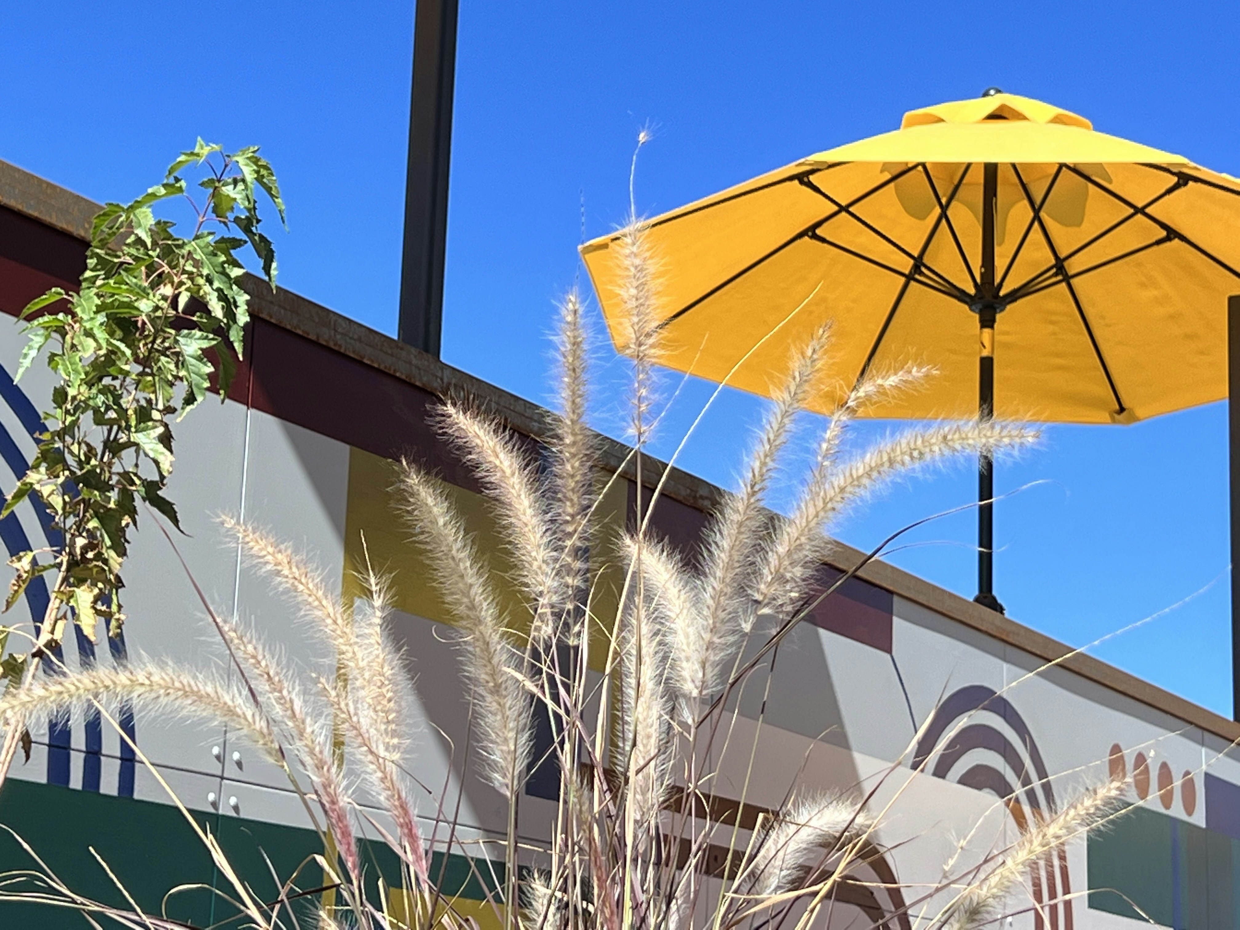 Photo by yaro_muzychenko