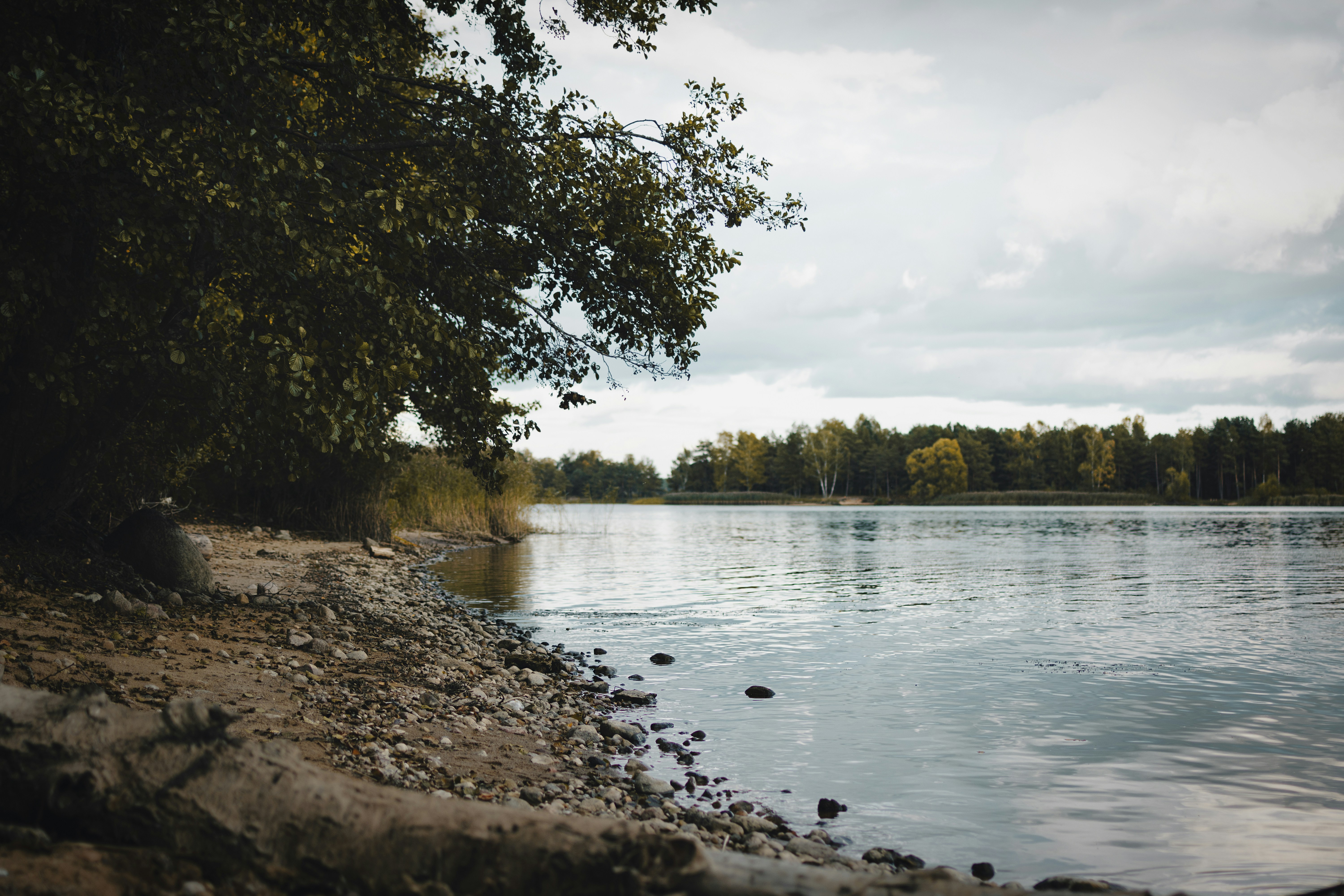 Photo by eadutskevich