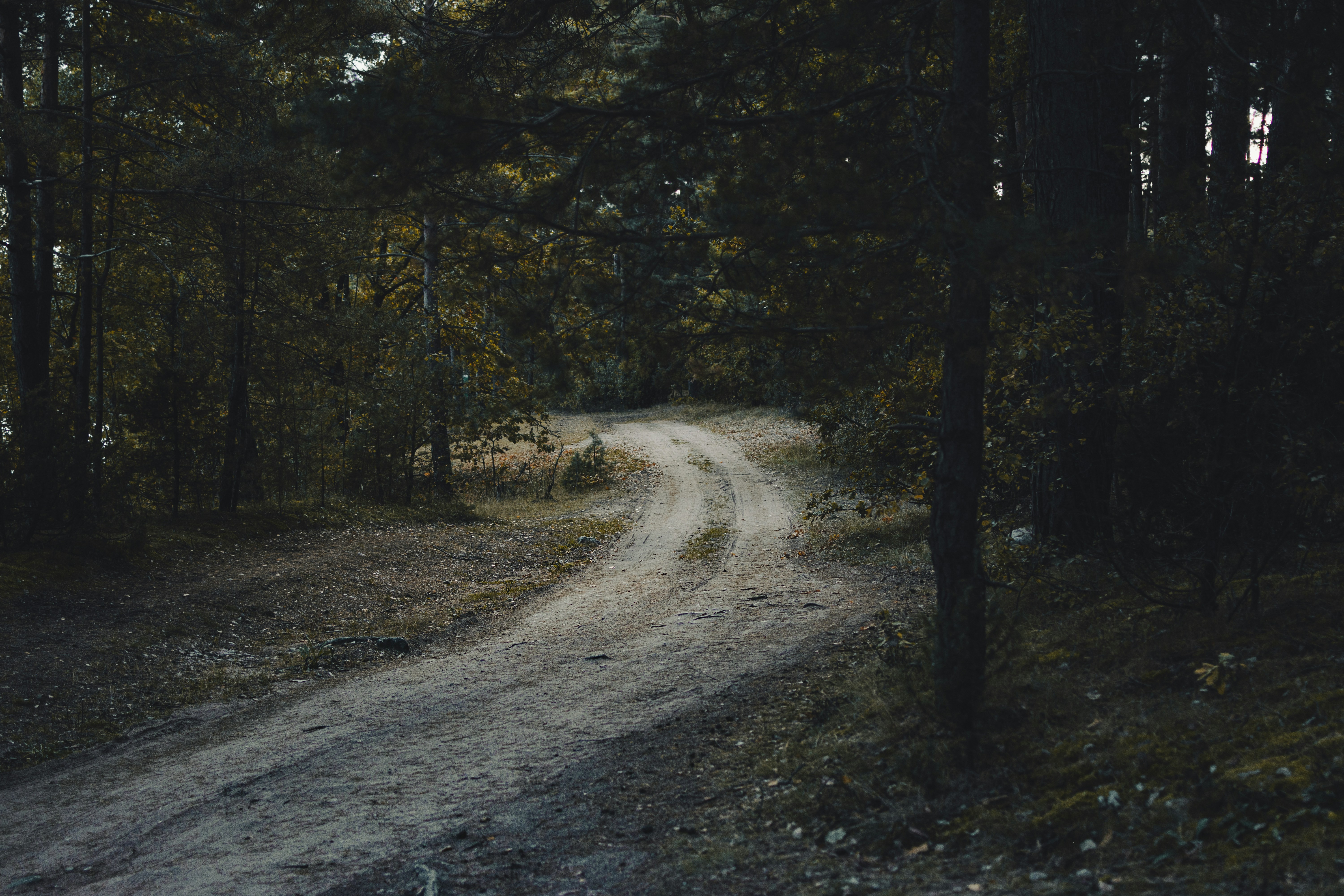 Photo by eadutskevich