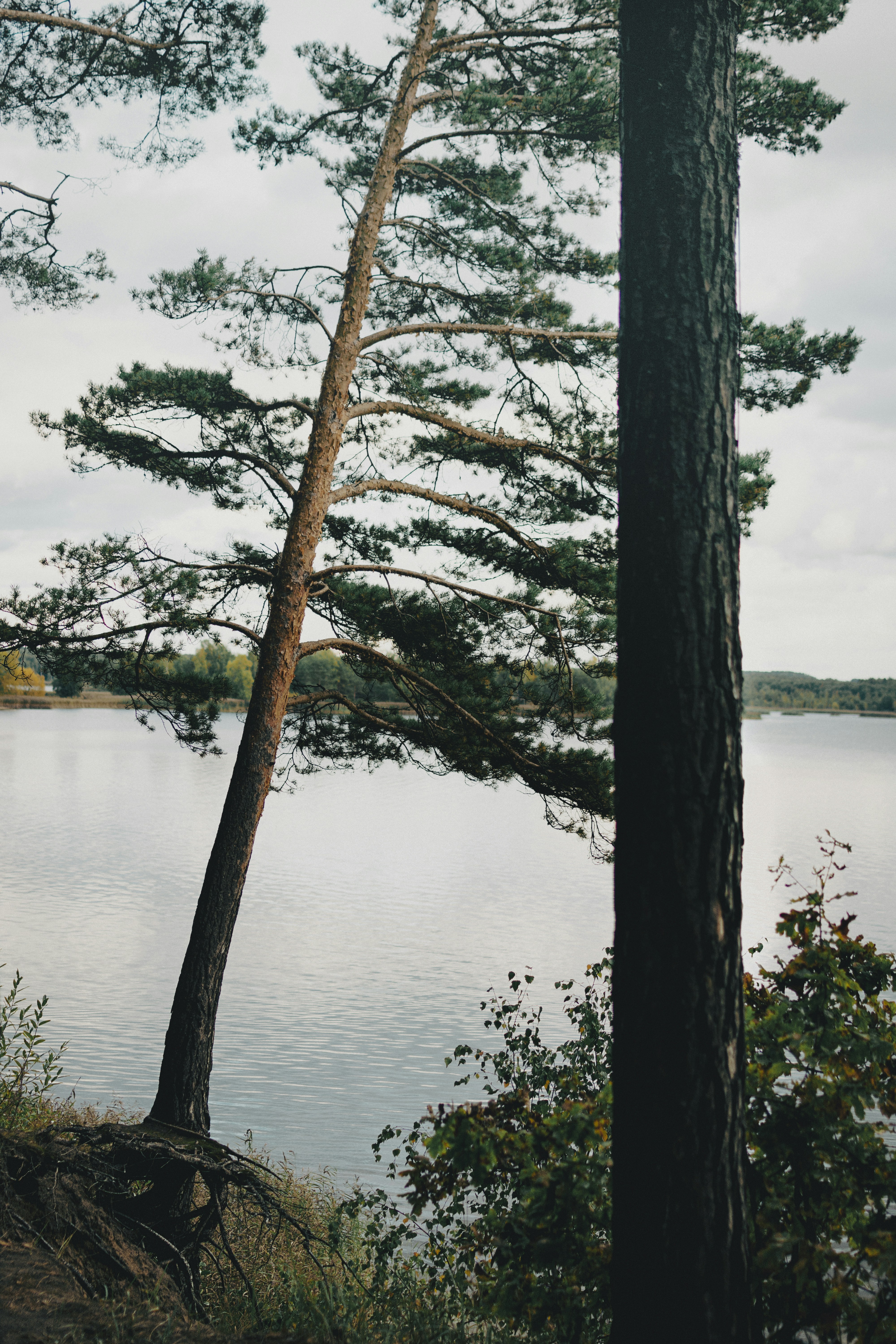 Photo by eadutskevich