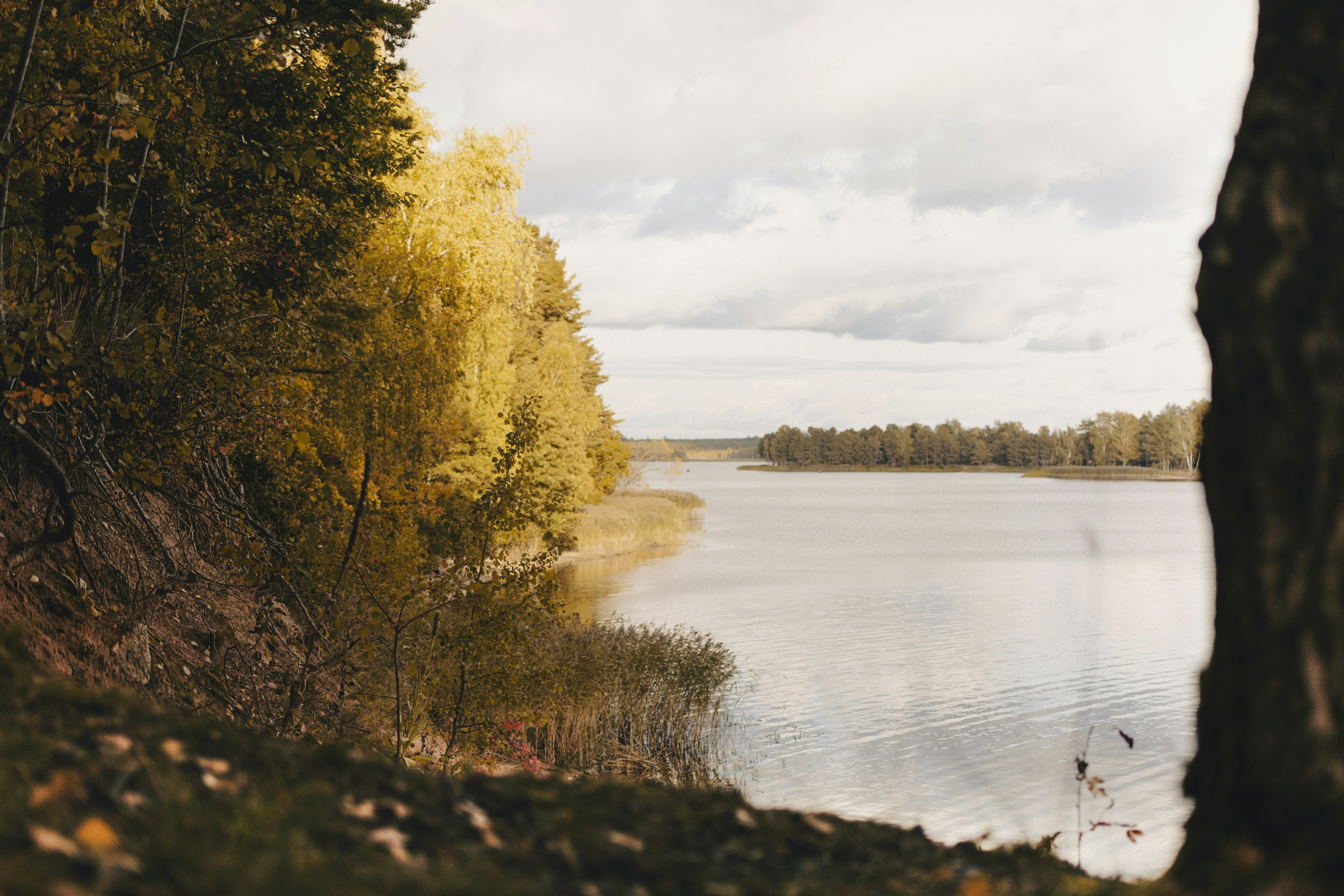 Photo by eadutskevich