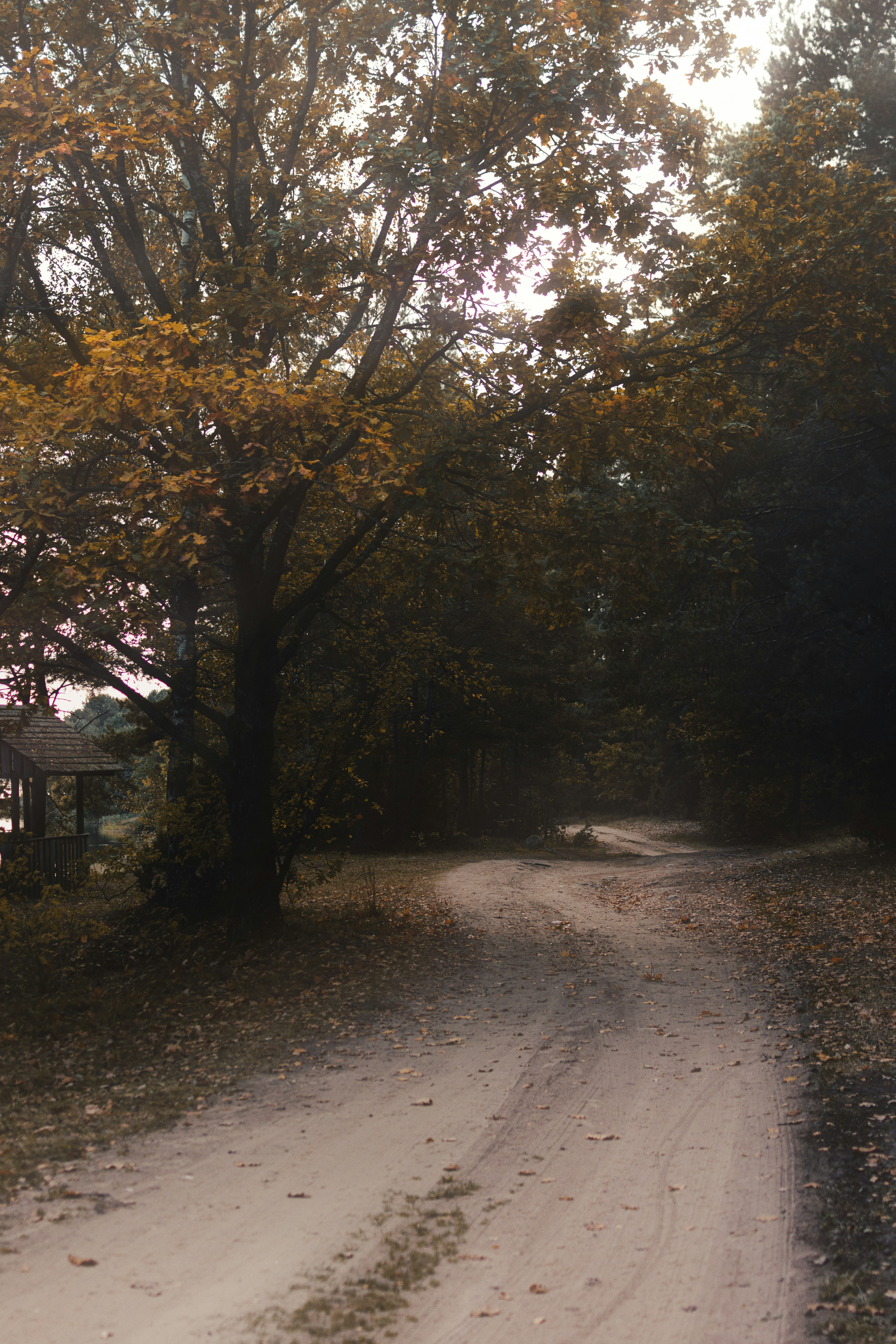 Photo by eadutskevich